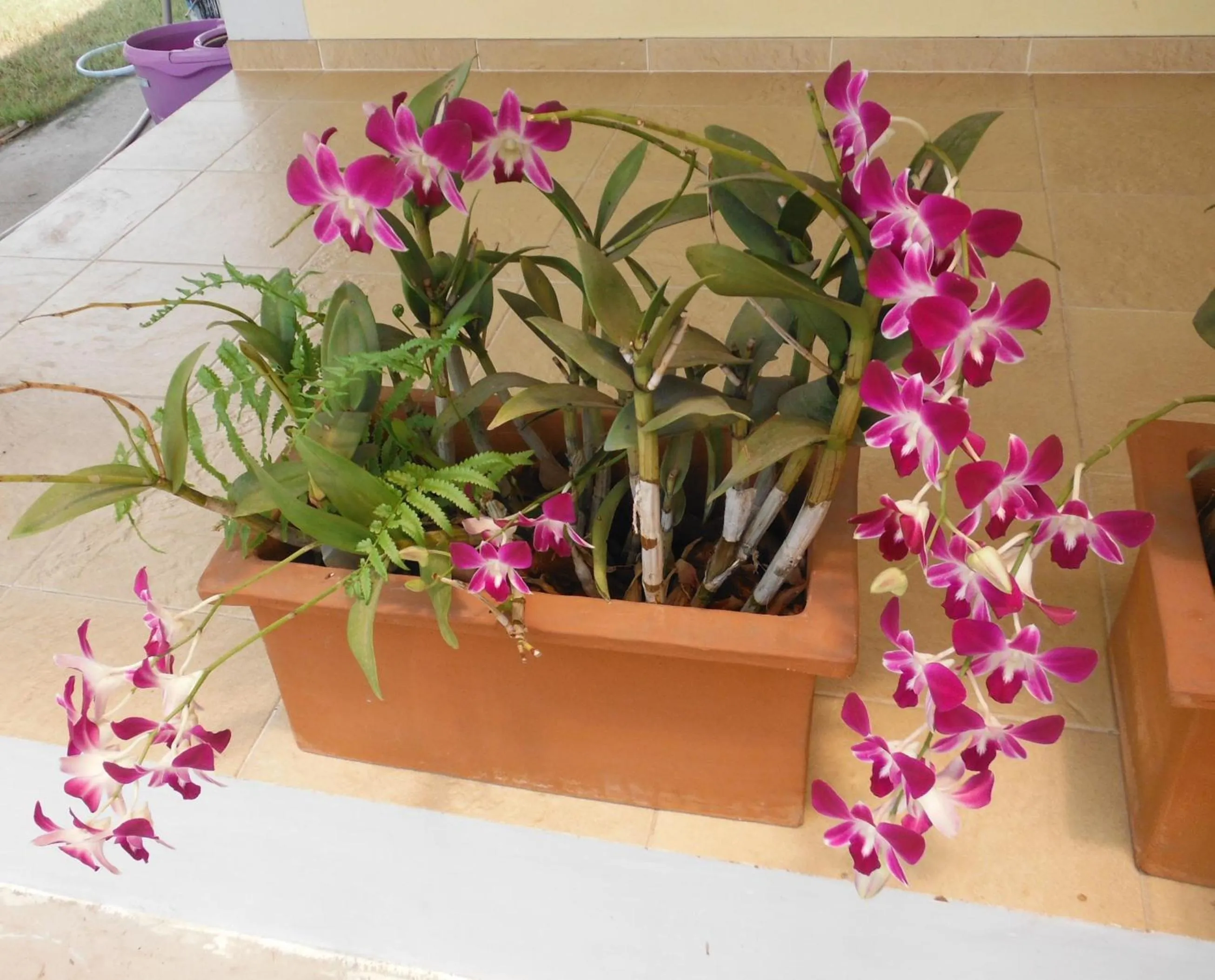 Garden in Malee Resort