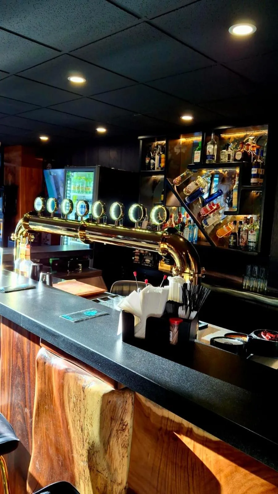 Lounge or bar in HOTEL RIO RITA