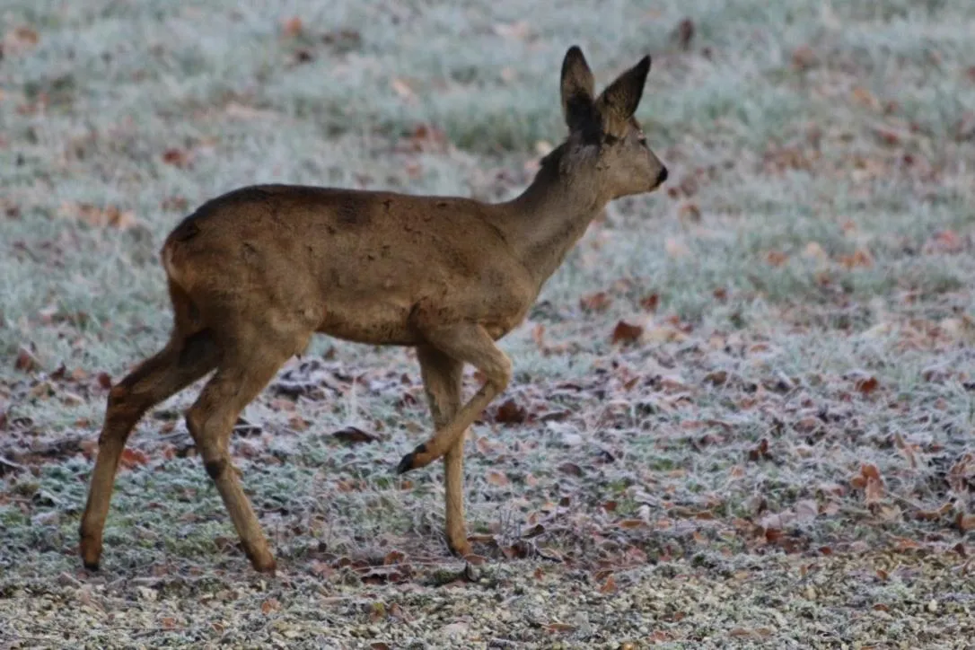 Château de Praslins