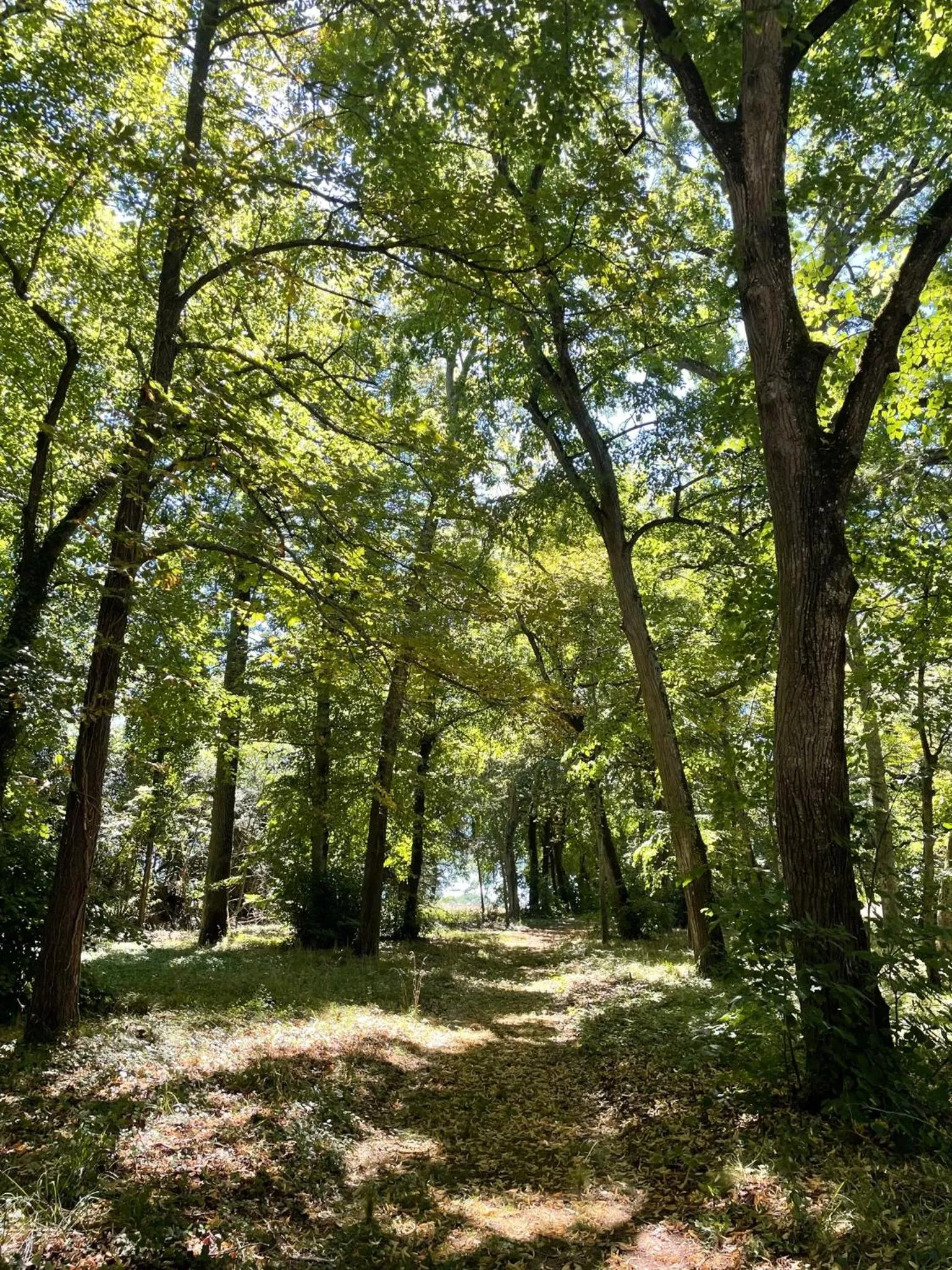 Château de Praslins