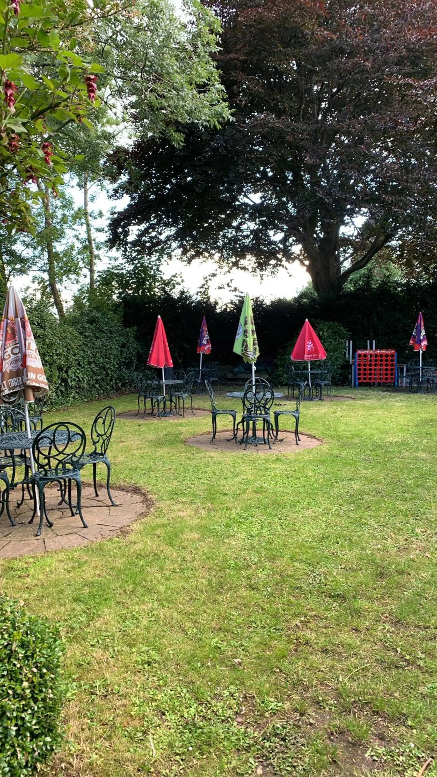 Garden in The Silk House