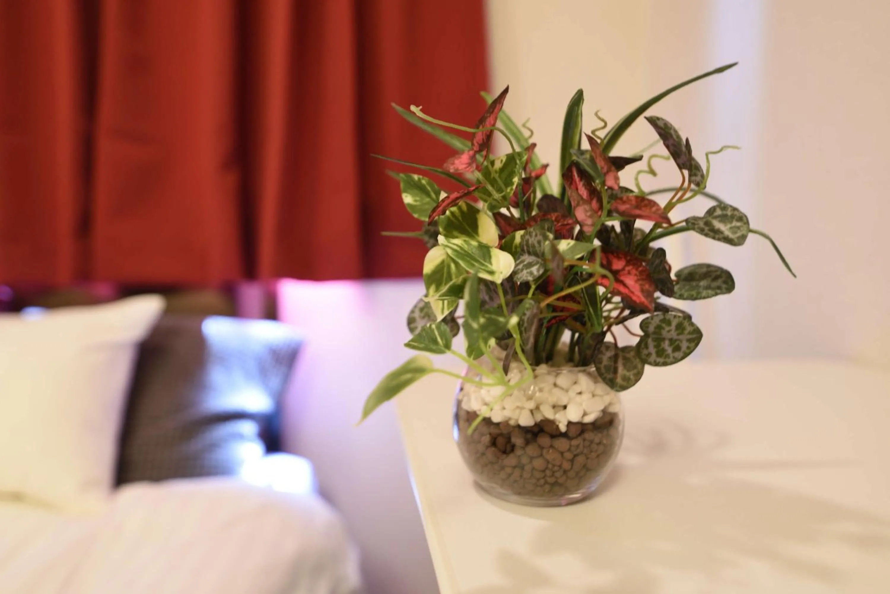 Bed in Vail sta Takenotsuka