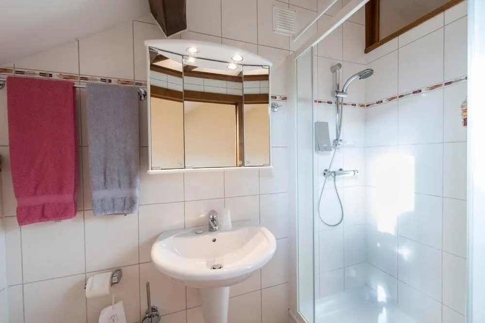 Shower in Appart Hotel Au Pied de Vigne