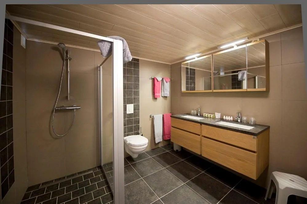 Shower in Appart Hotel Au Pied de Vigne