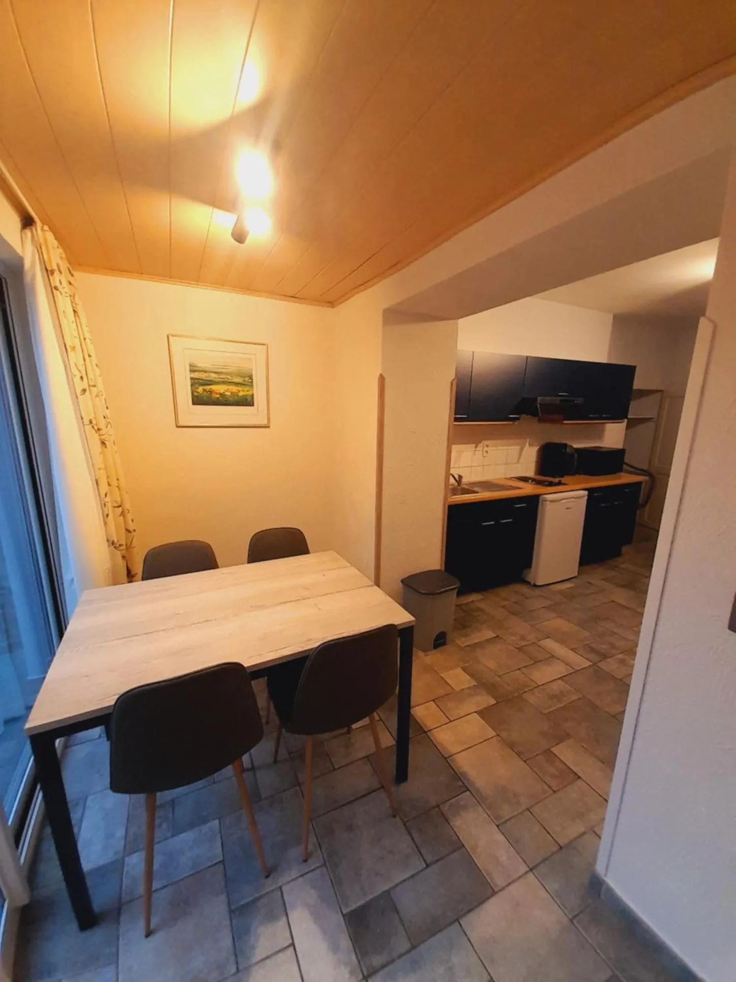 Kitchen or kitchenette in Appart Hotel Au Pied de Vigne