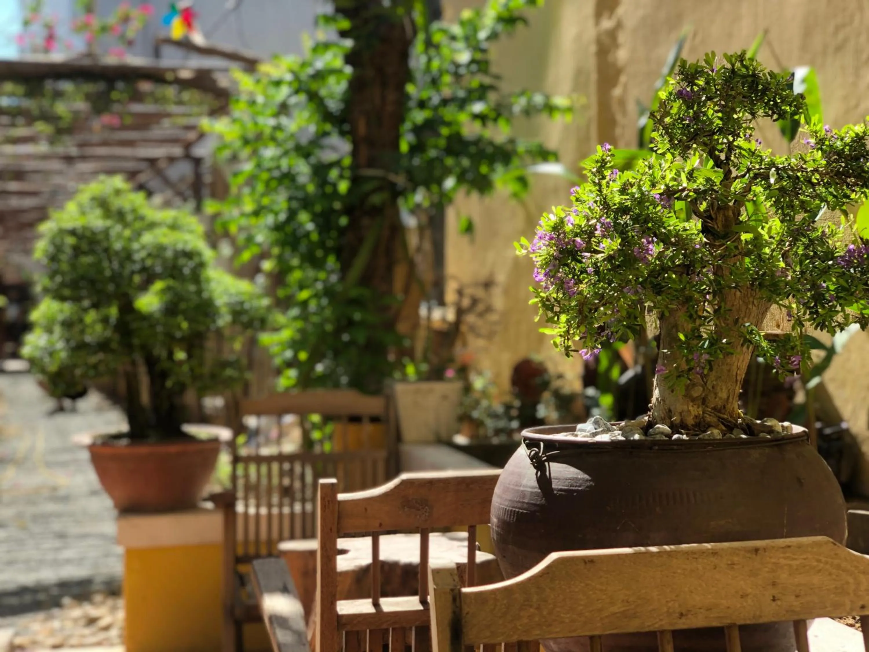 Patio in Leranda Homestay