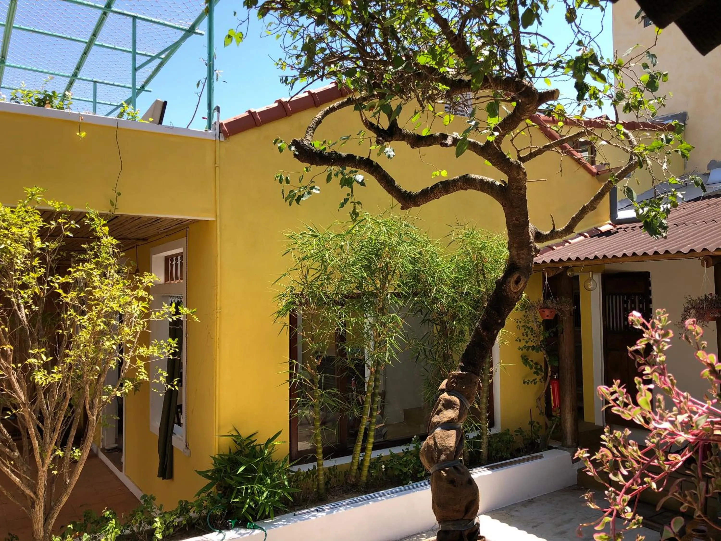 Garden in Leranda Homestay