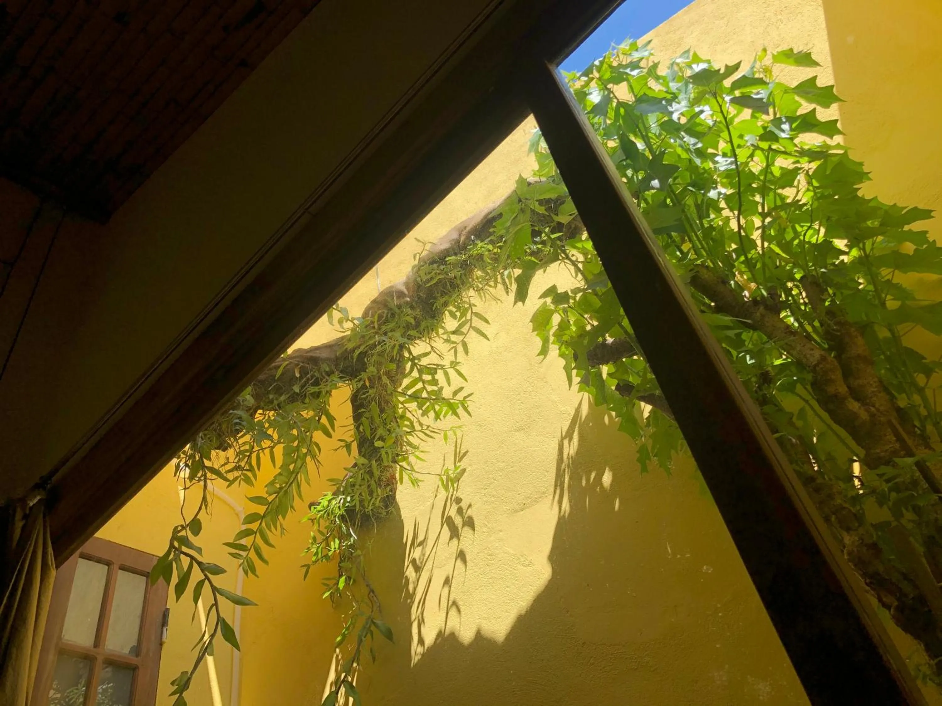 Garden in Leranda Homestay