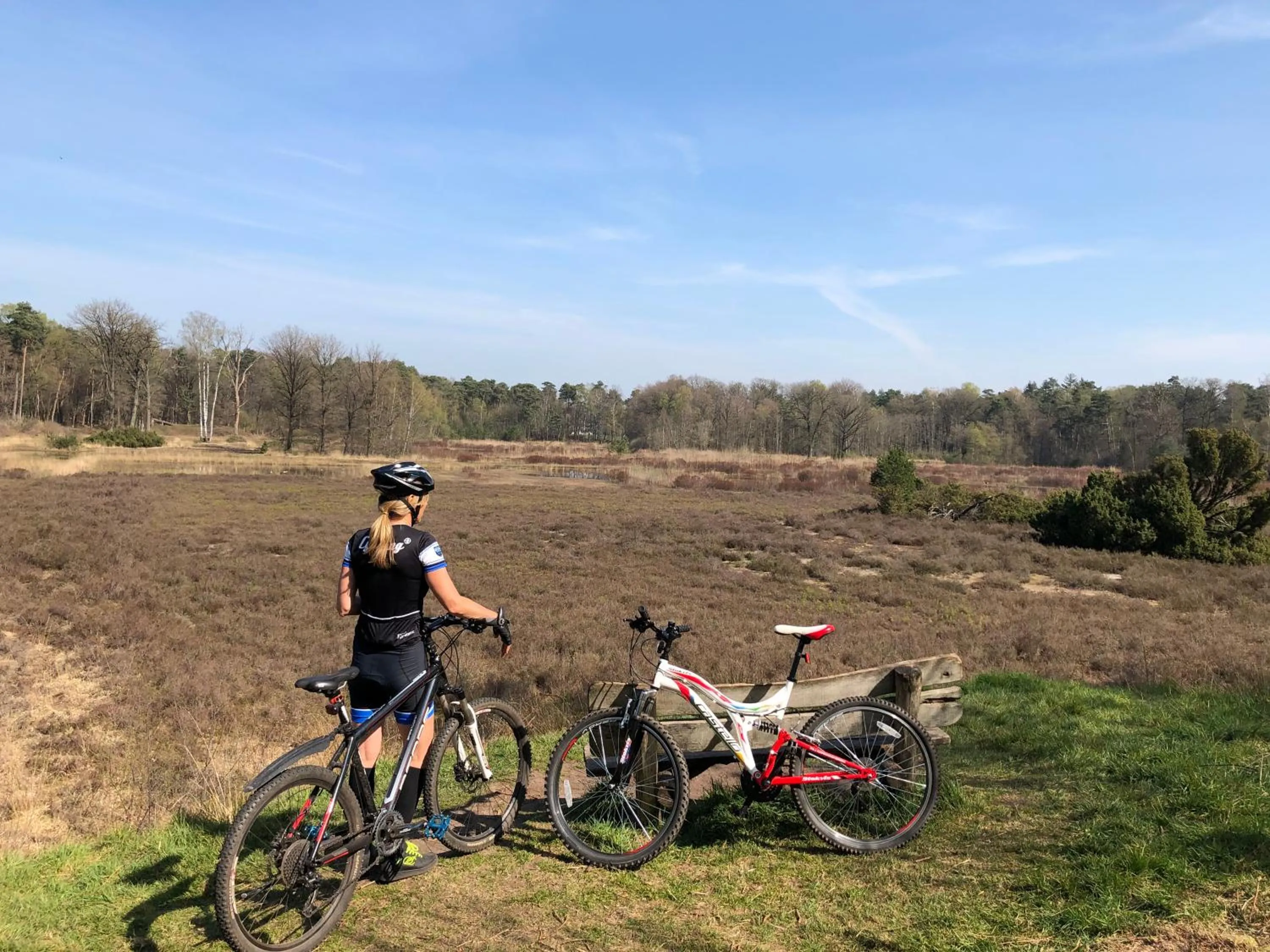 Natural landscape in Wildenborcherhof