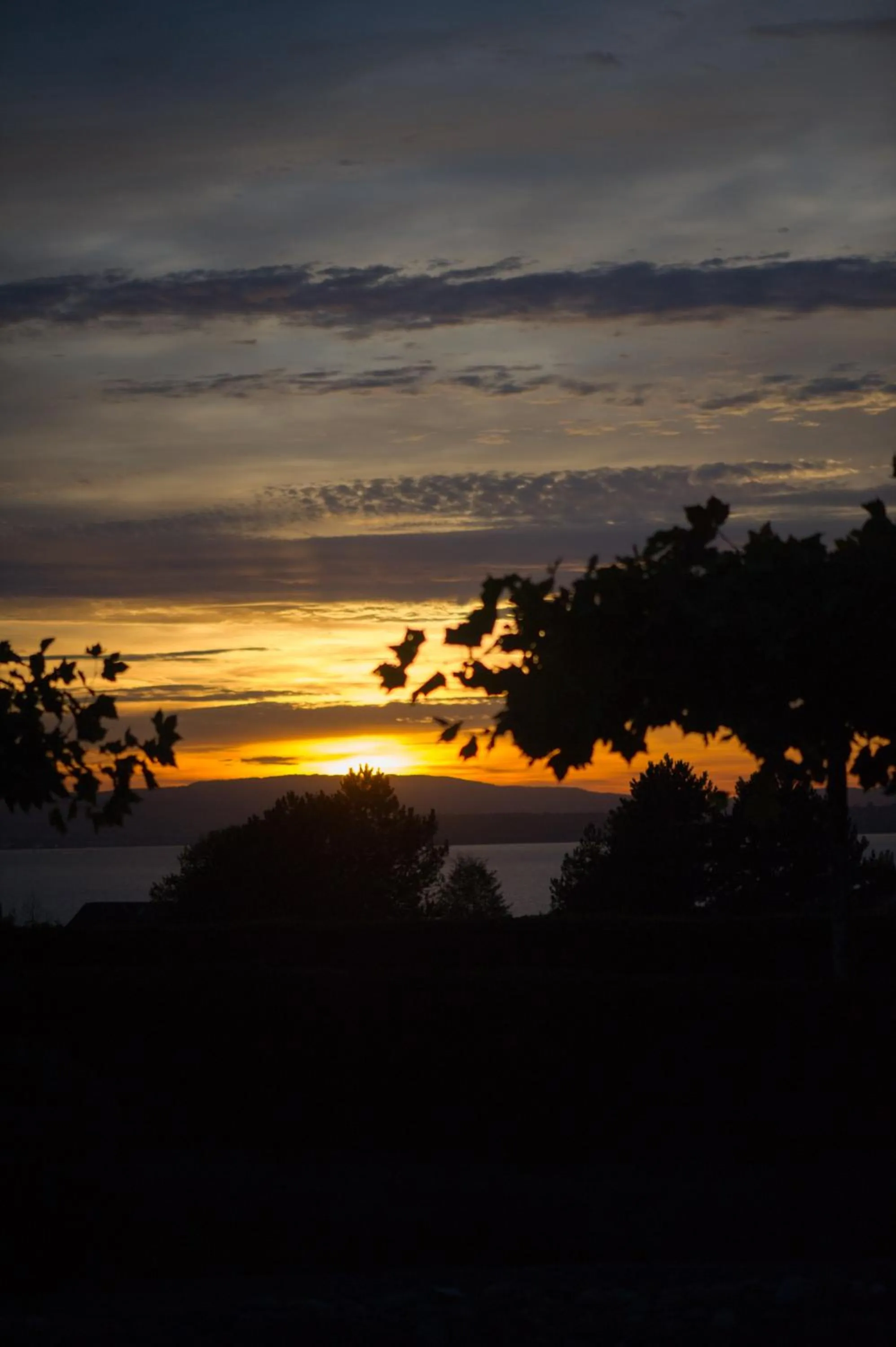 Natural landscape in Burgunderhof Bodensee - Adults only