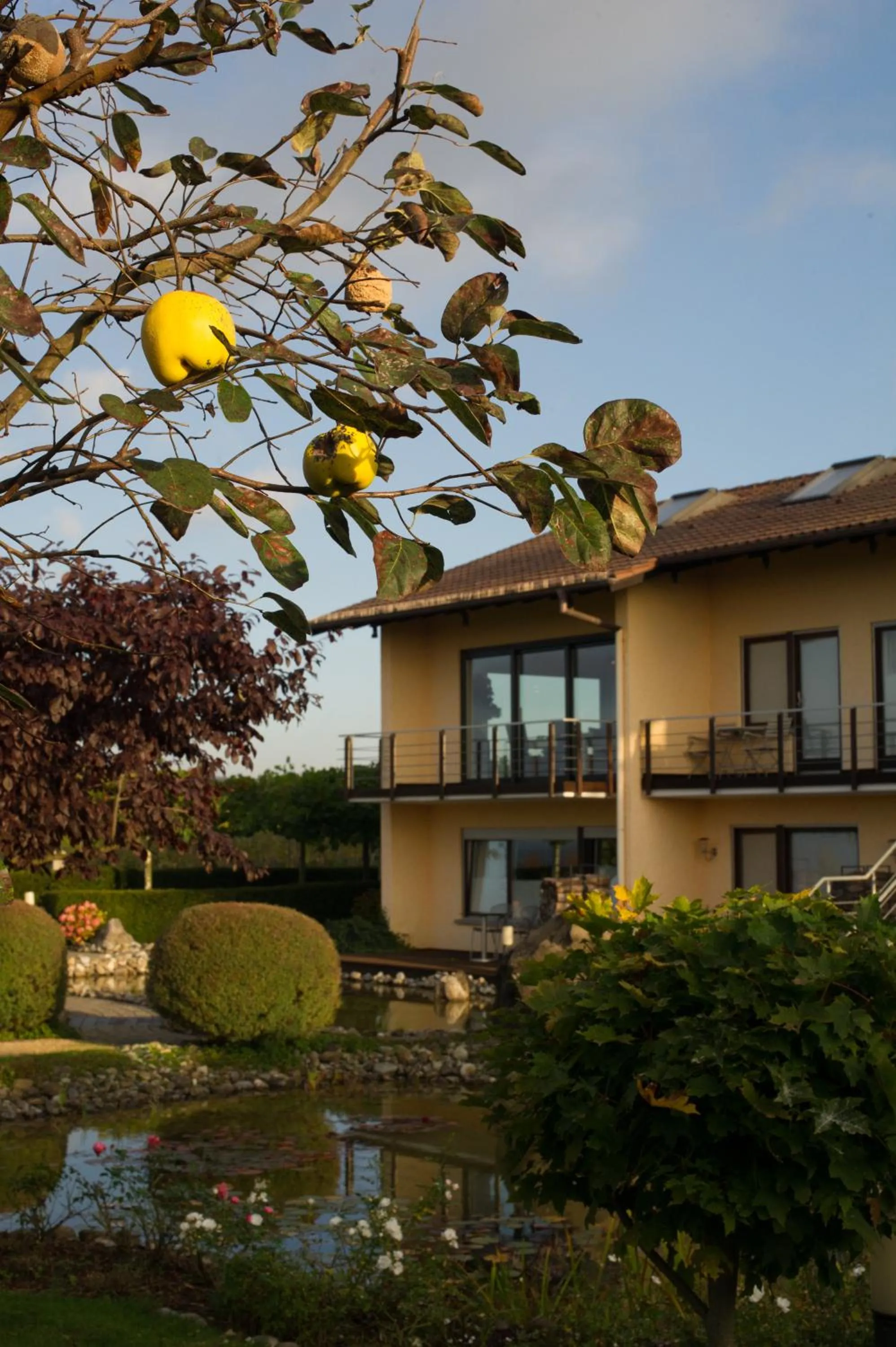 Autumn in Burgunderhof Bodensee - Adults only