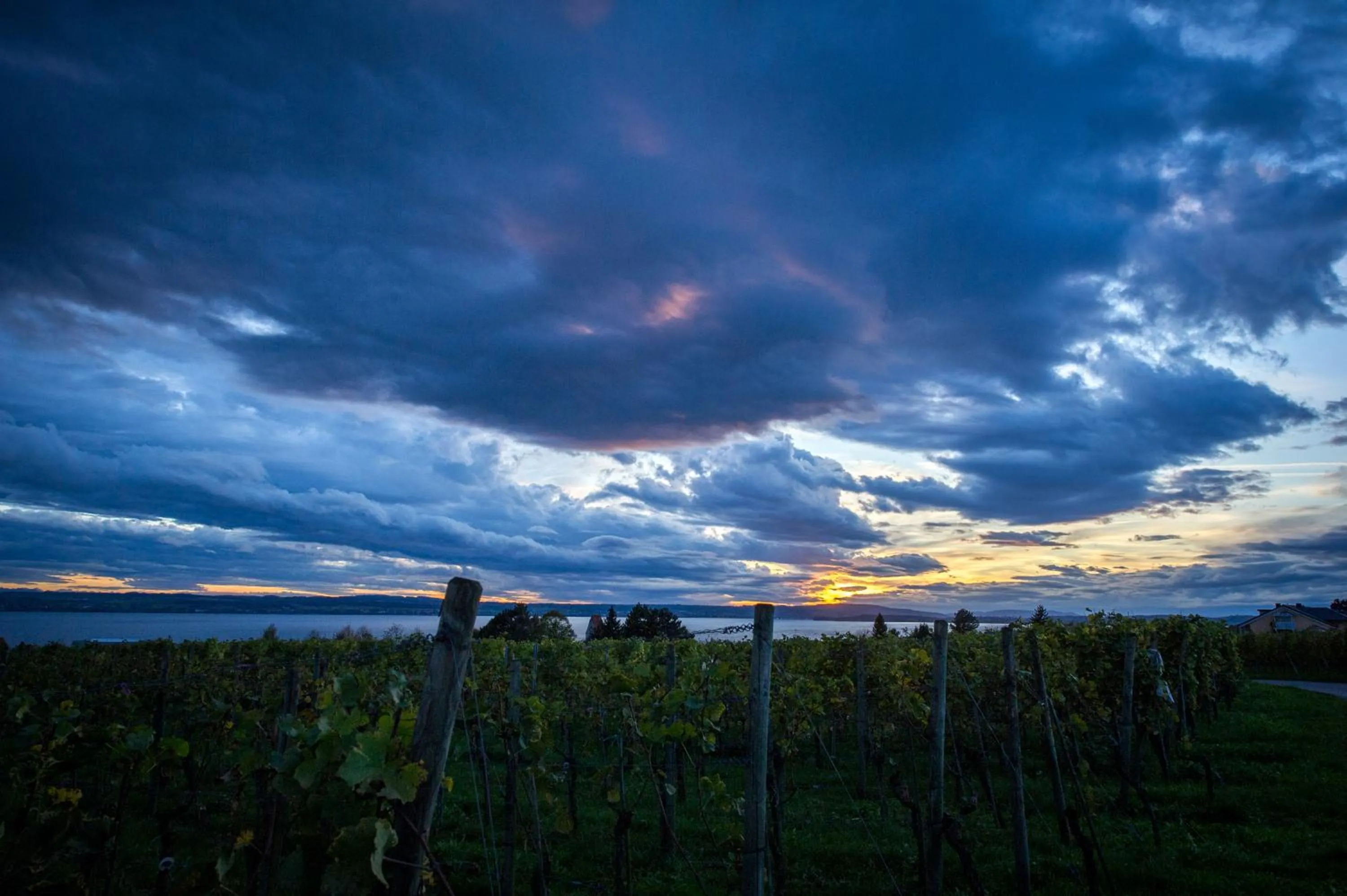 Lake view in Burgunderhof Bodensee - Adults only