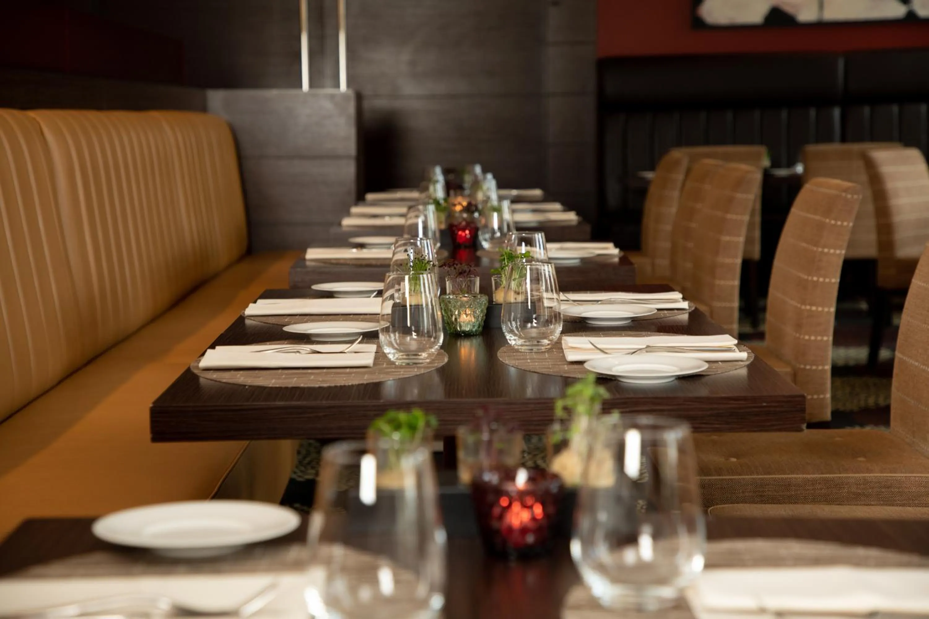 Restaurant/places to eat in Steigenberger Hotel de Saxe