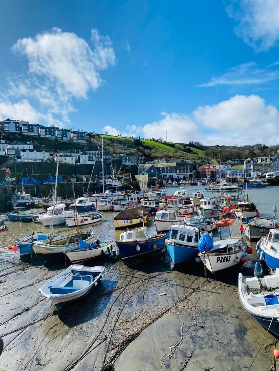 Natural landscape in Kerryanna Country House Bed and Breakfast