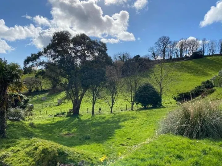 Garden view in Kerryanna Country House Bed and Breakfast