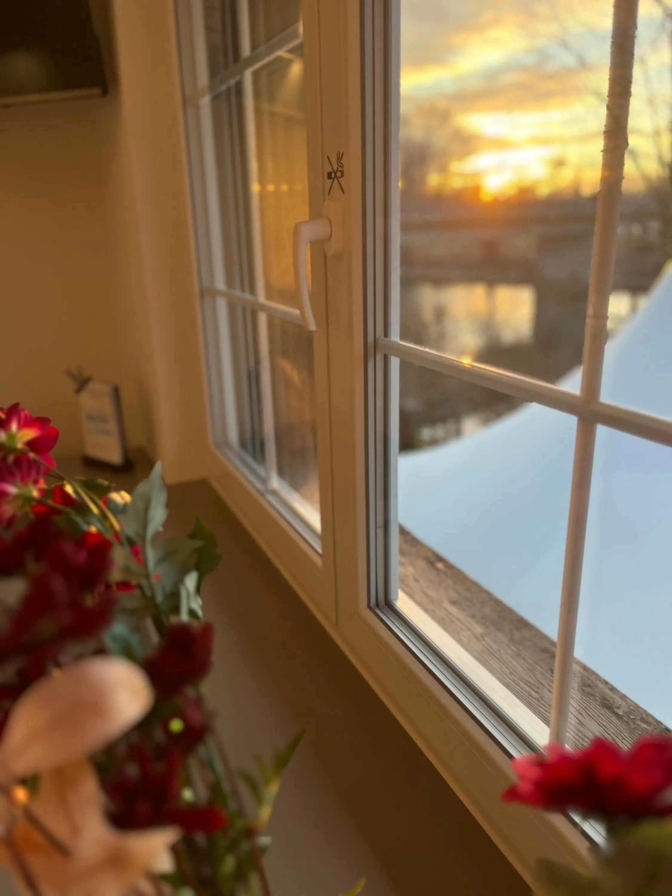 View (from property/room) in Apart-Hôtel Pont-de-Thielle