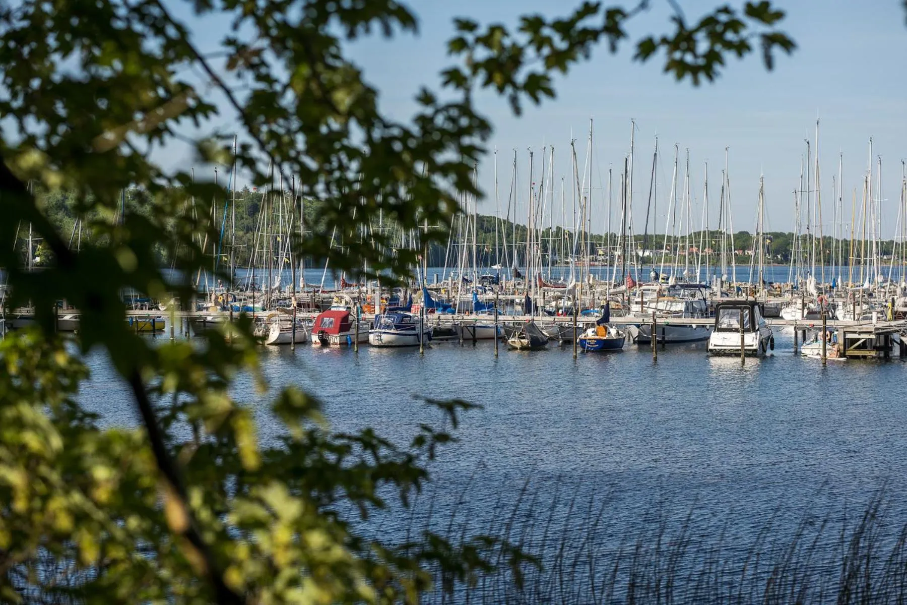 Activities in Hotel Wassersleben