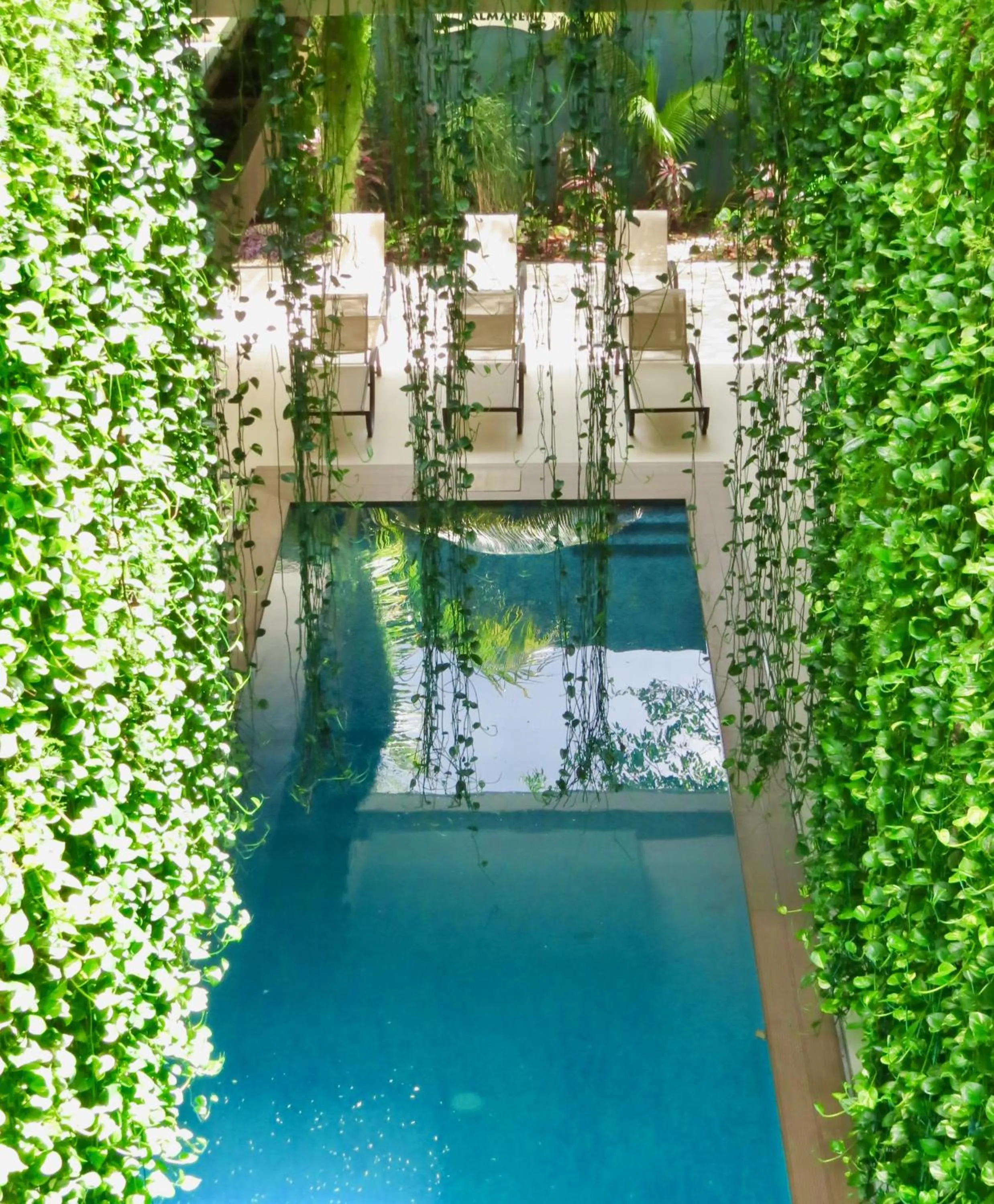 Pool view in PALMARENA by Nah Hotels