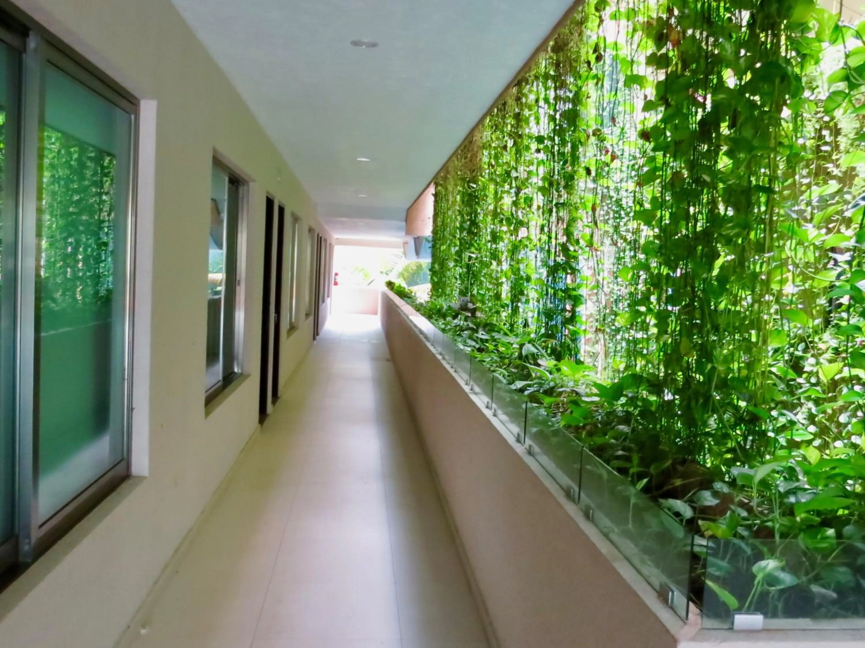Garden view in PALMARENA by Nah Hotels