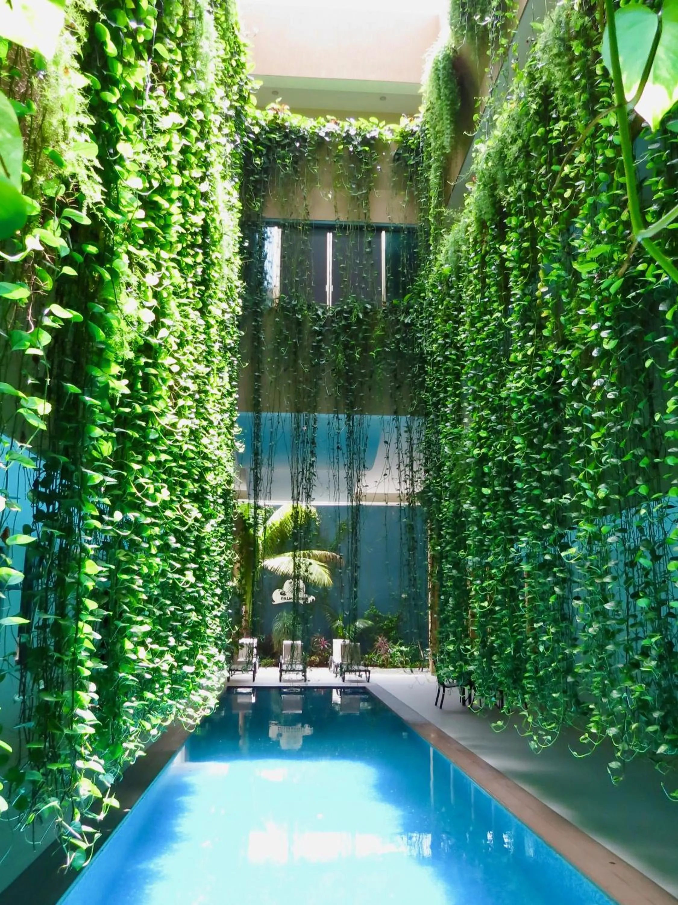 Pool view in PALMARENA by Nah Hotels