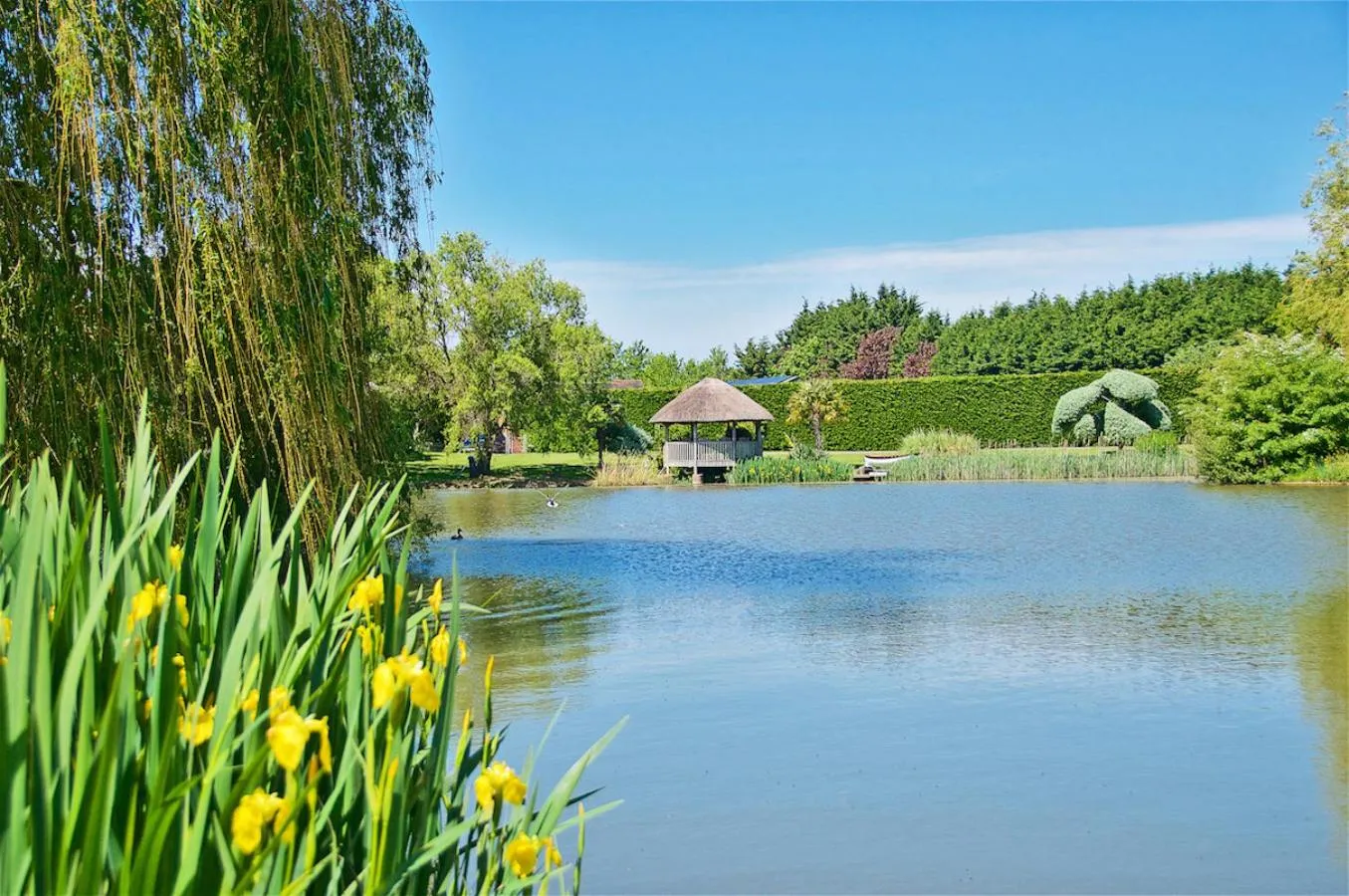 Lake view in Northlands Farm - Old Farm Cottage