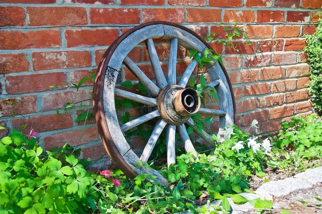 Facade/entrance in Northlands Farm - Old Farm Cottage