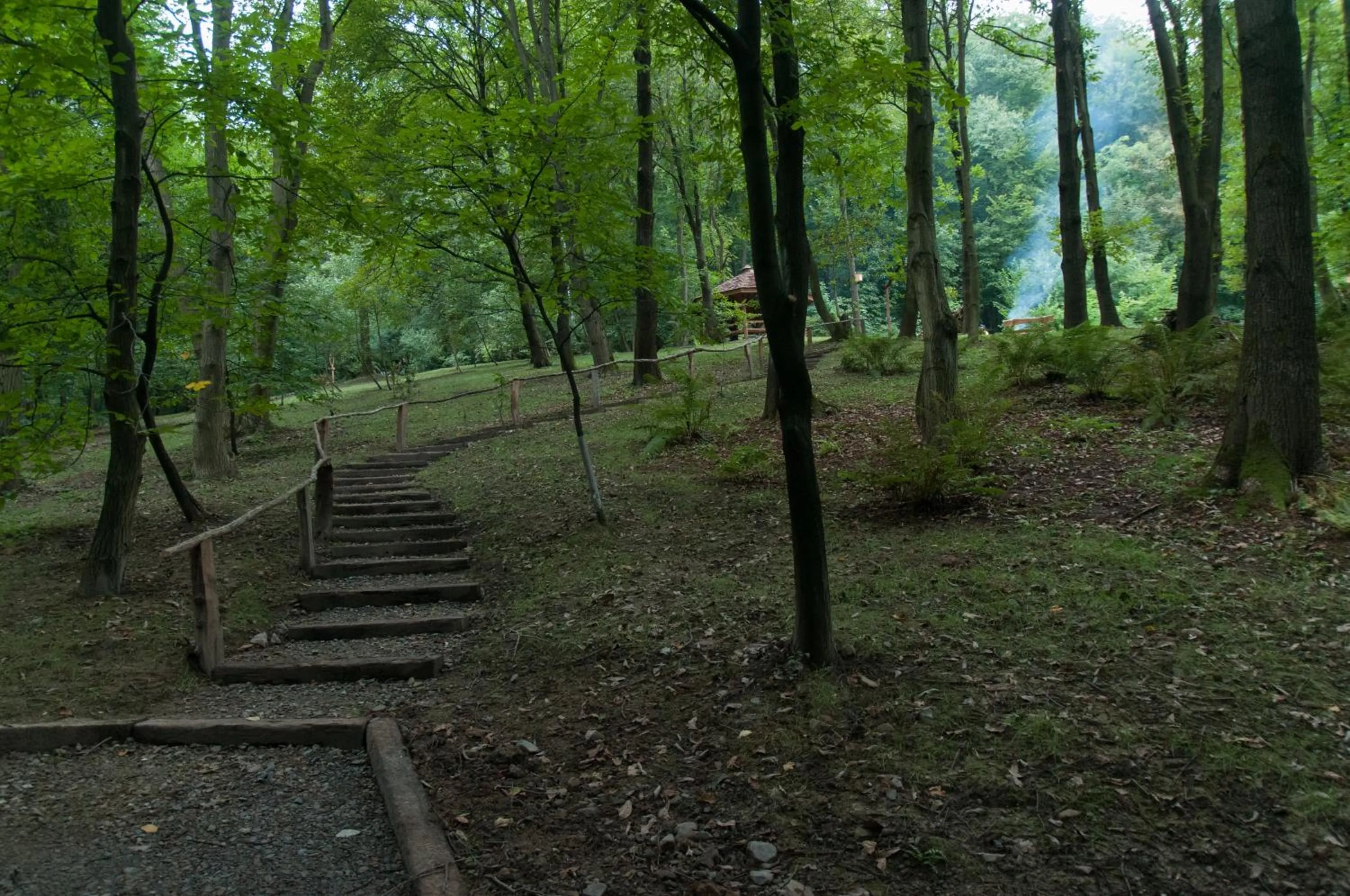 Garden in Ekosamotnia