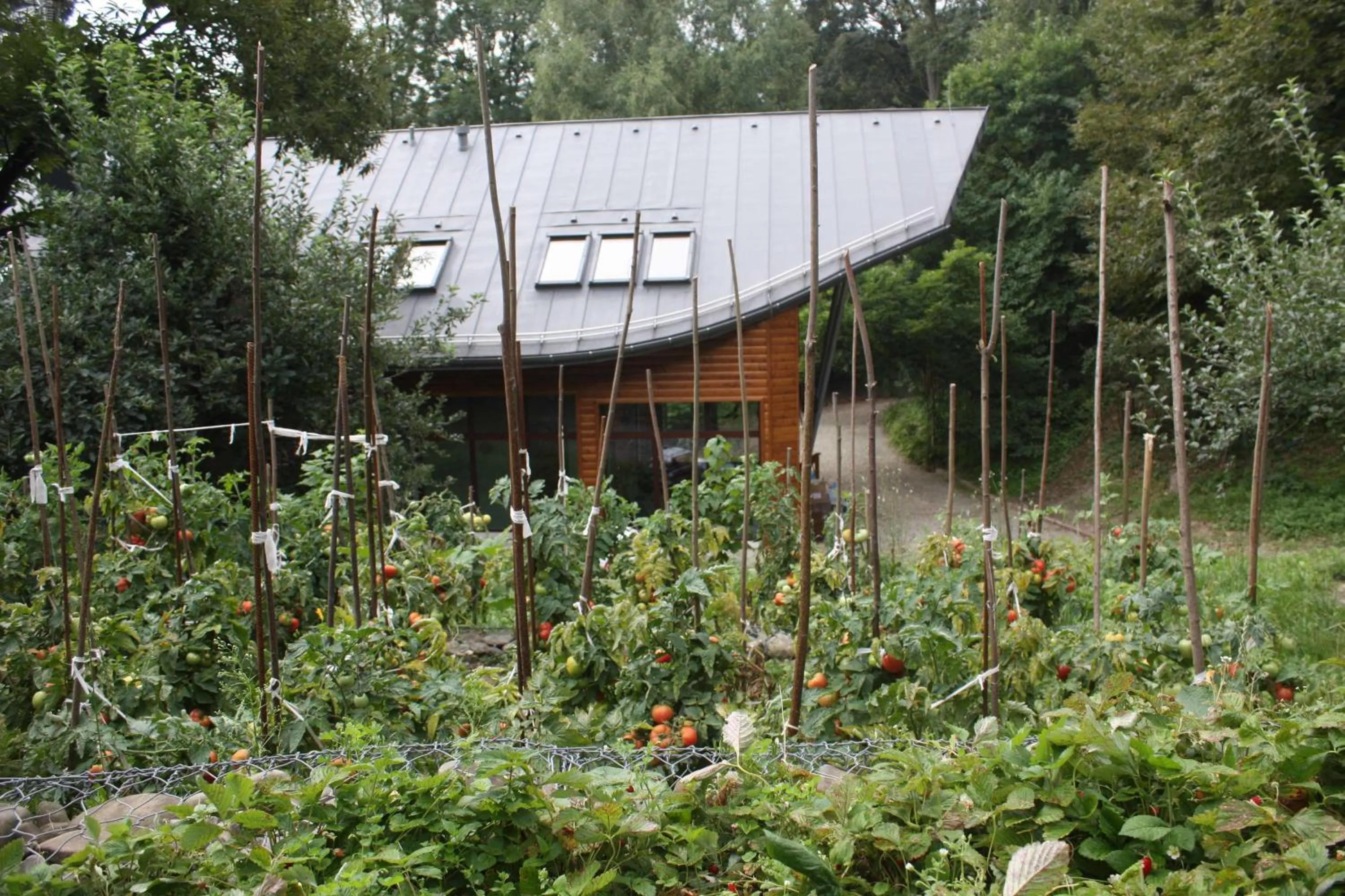 Property building in Ekosamotnia