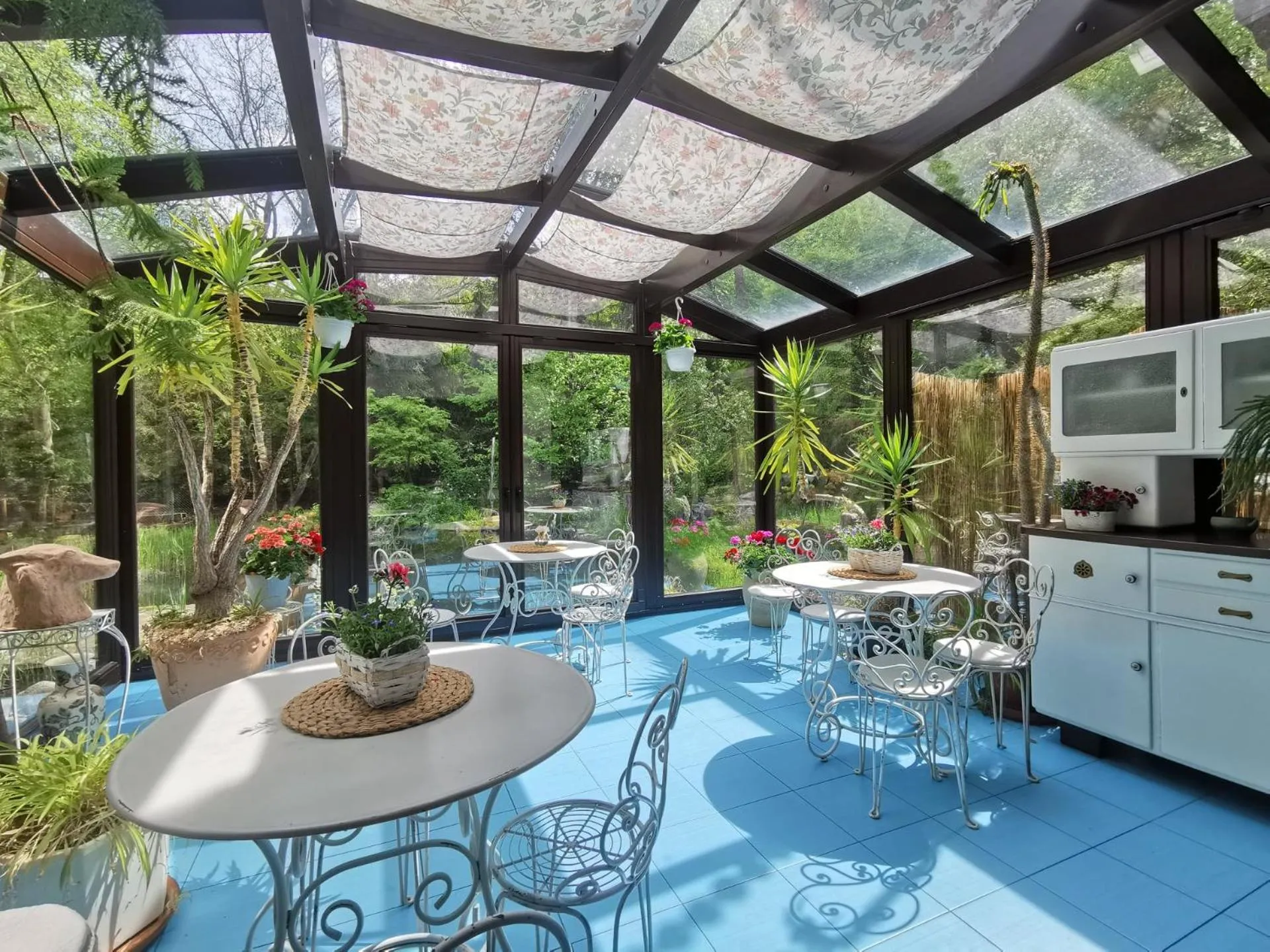 Patio in Ekosamotnia