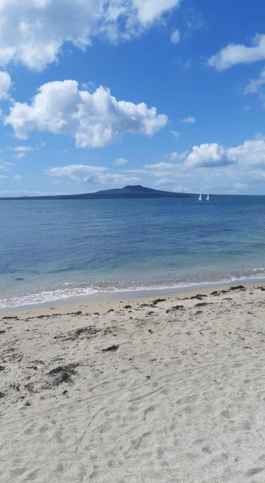 Takapuna Beach Holiday Park