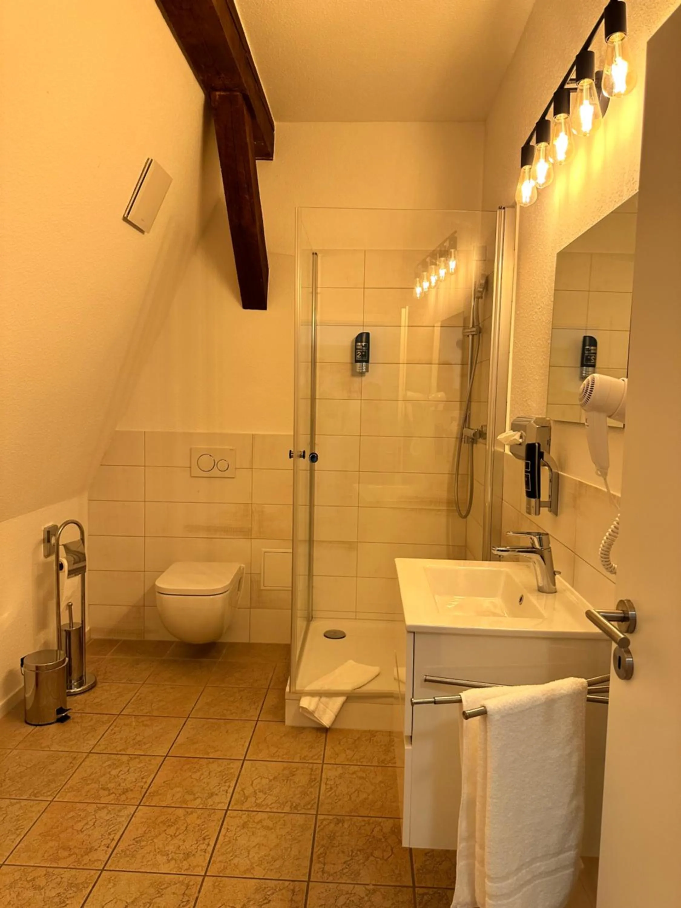 Shower in Hotel Henriettenhof Weimarer Land, Weimar-Bad Berka