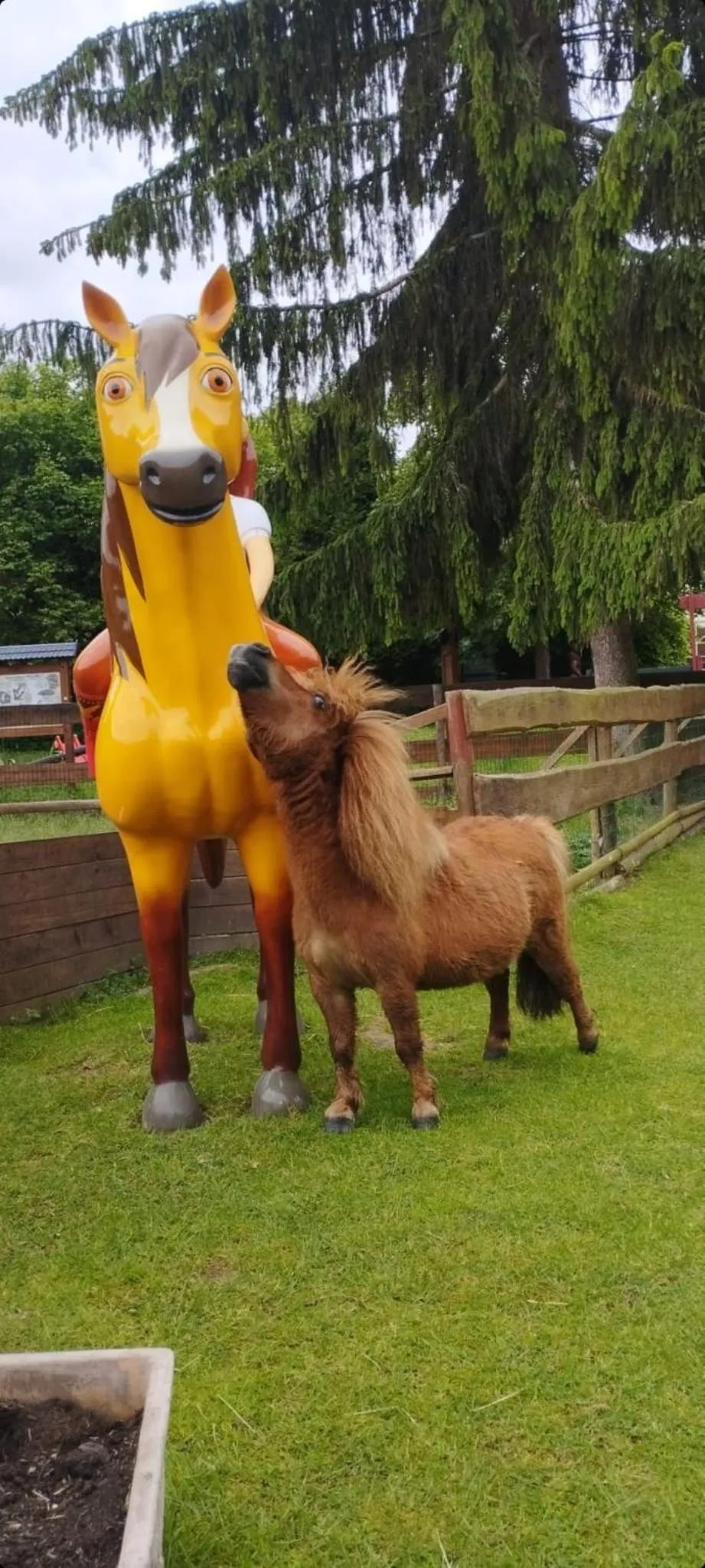 Animals in Hotel Henriettenhof Weimarer Land, Weimar-Bad Berka