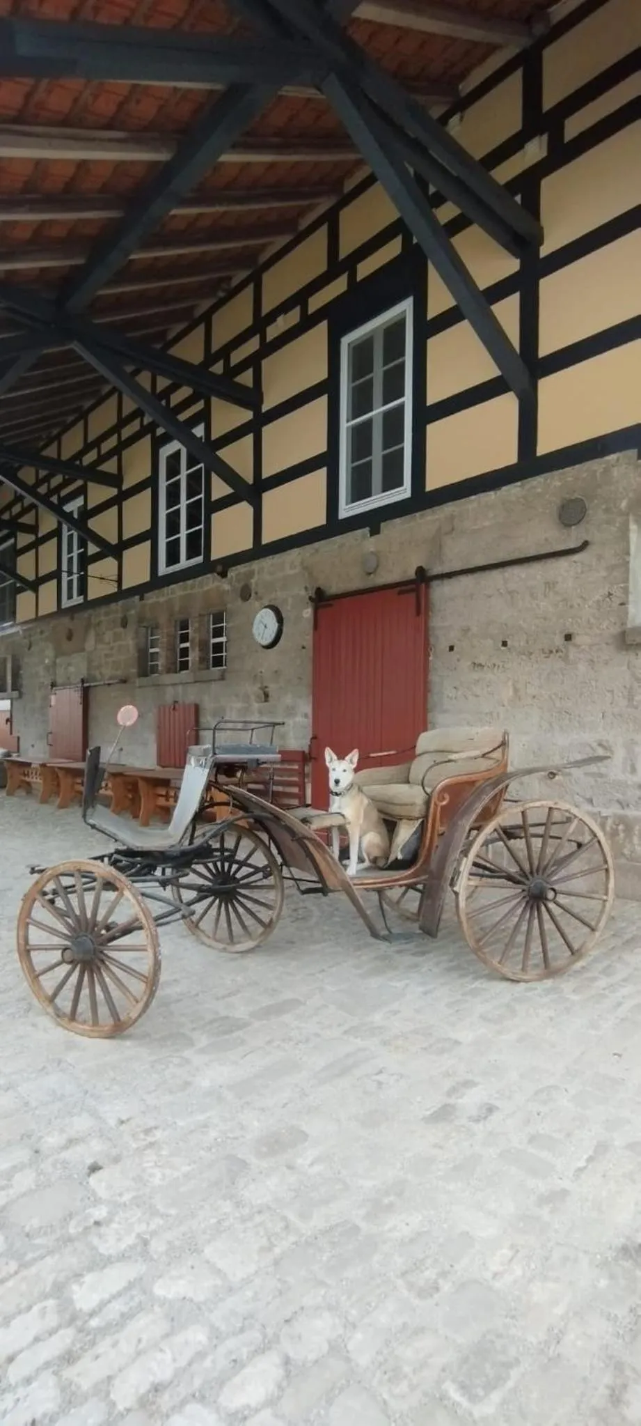 Pets in Hotel Henriettenhof Weimarer Land, Weimar-Bad Berka