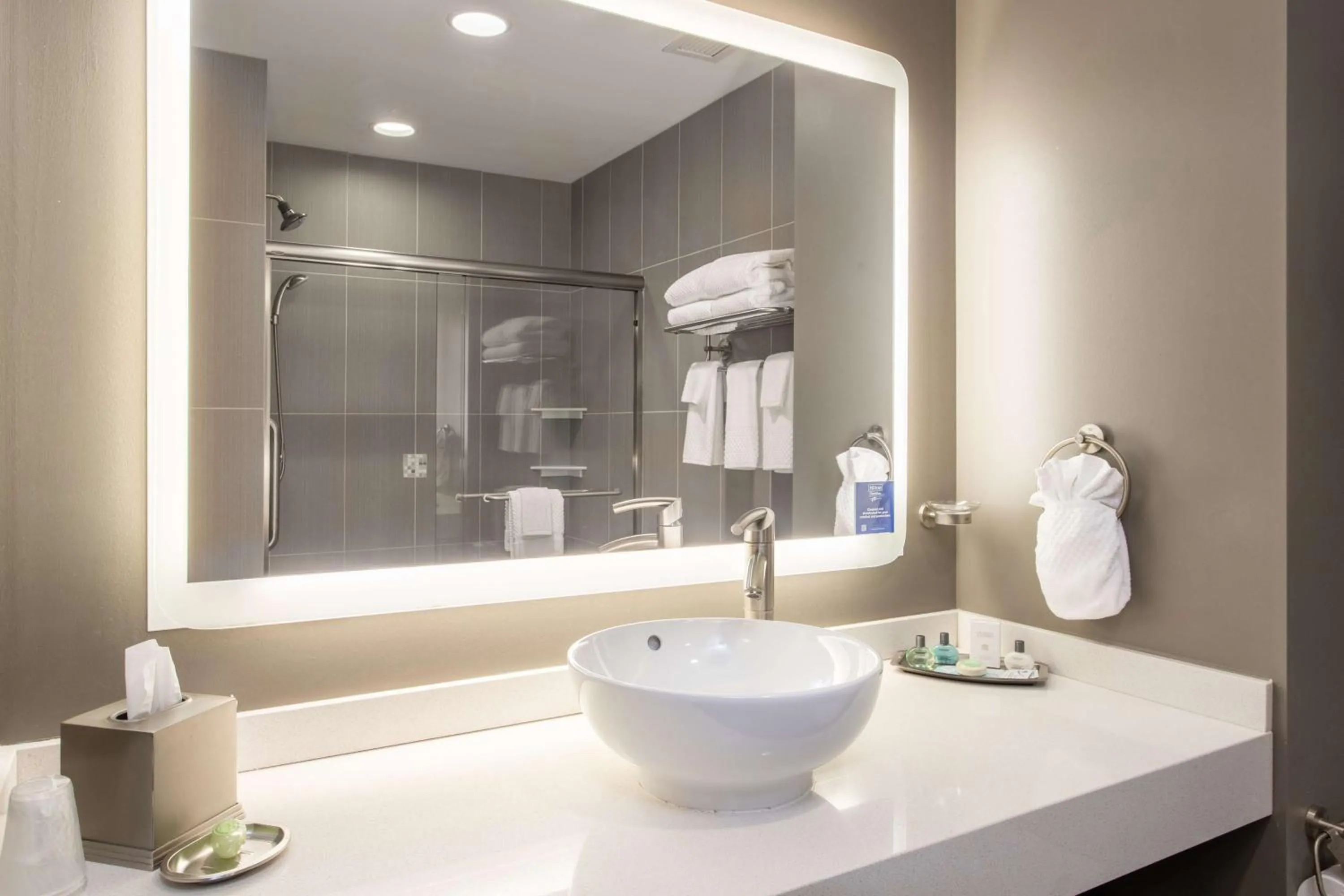 Bathroom in The Mosey Buffalo Williamsville Tapestry Collection Hilton