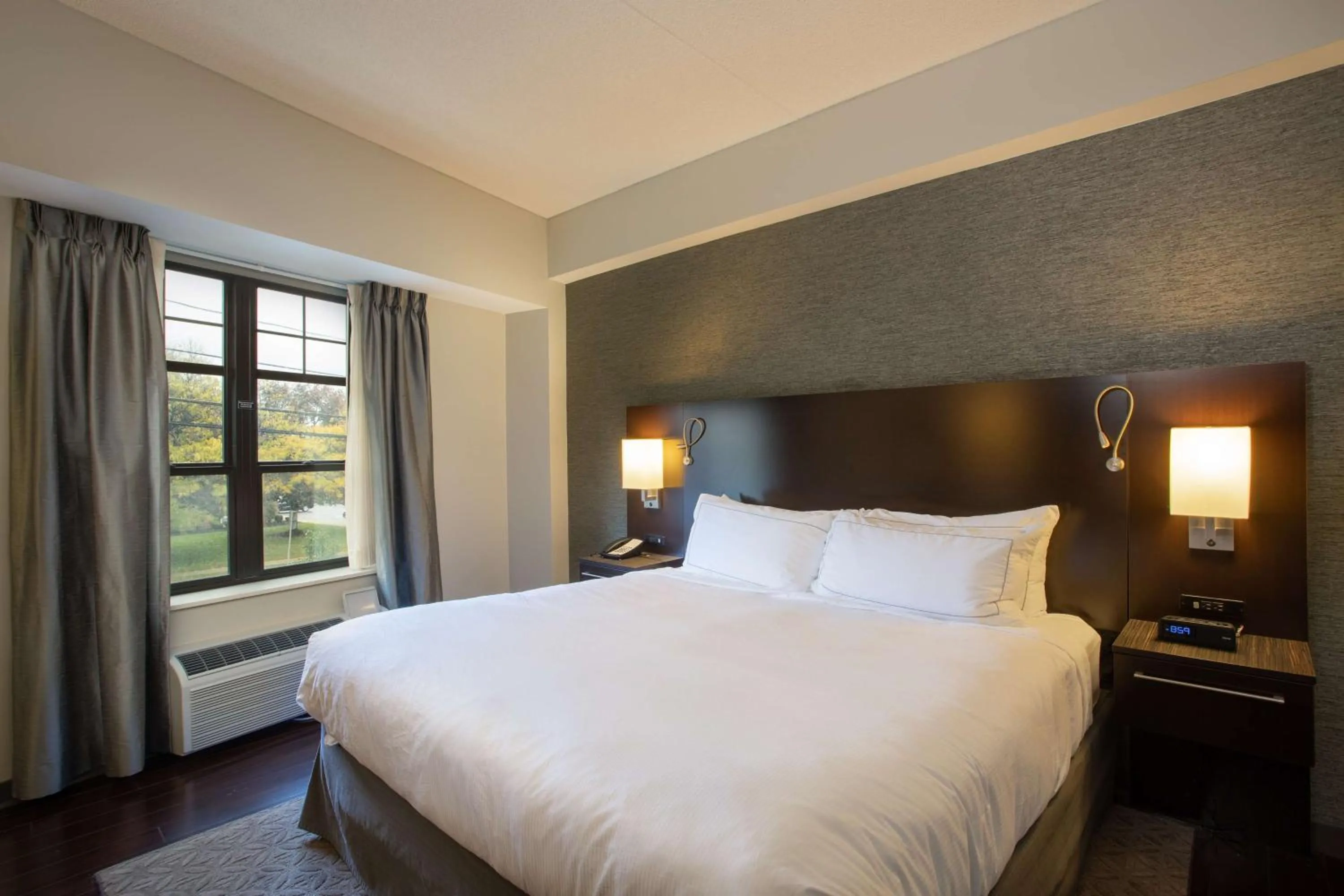 Bed in The Mosey Buffalo Williamsville Tapestry Collection Hilton