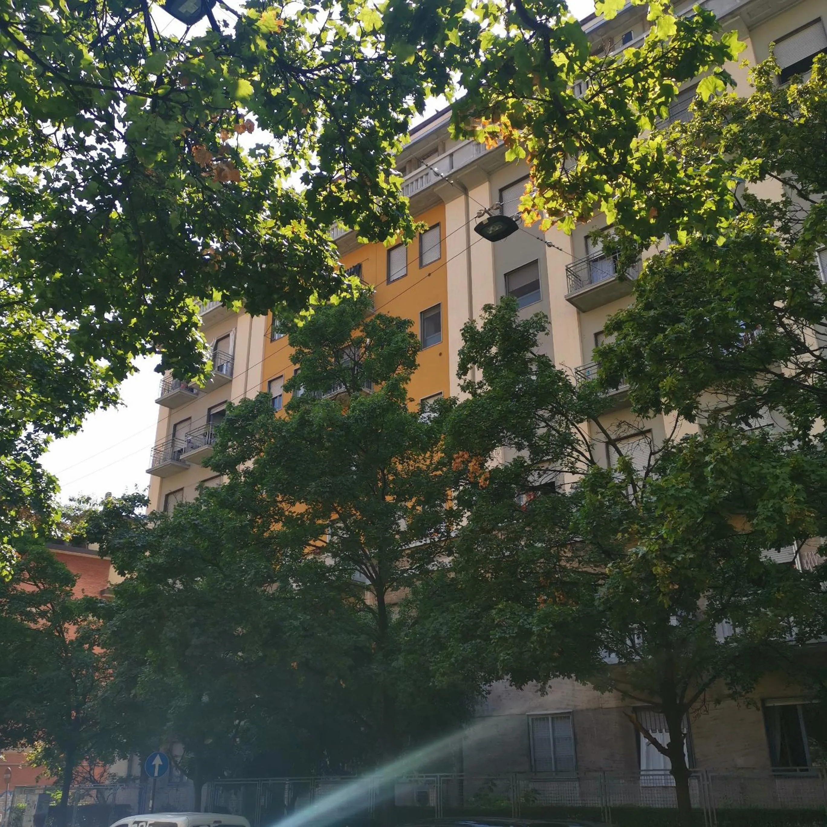 Property building in WHITE RIBBON