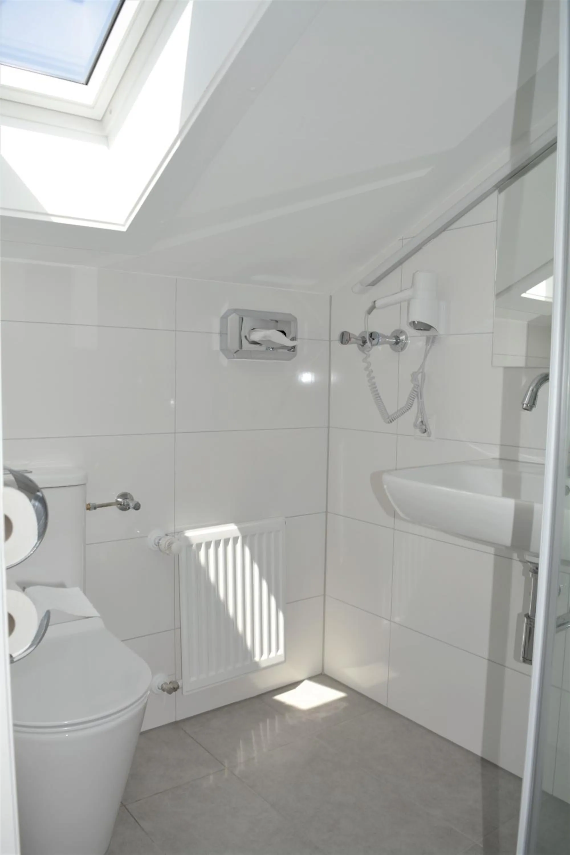 Shower in Hotel BaWü