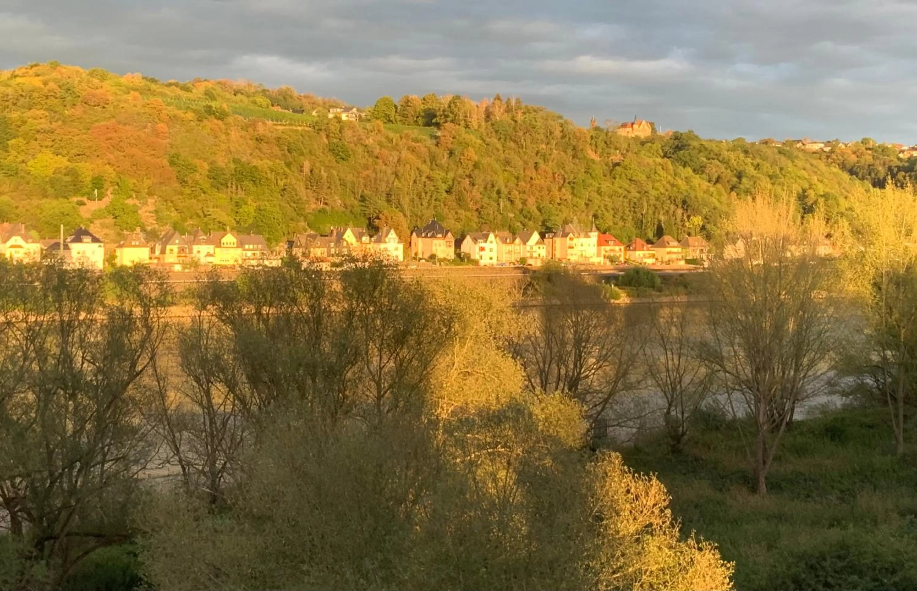 Natural landscape in RheinVilla ARTE