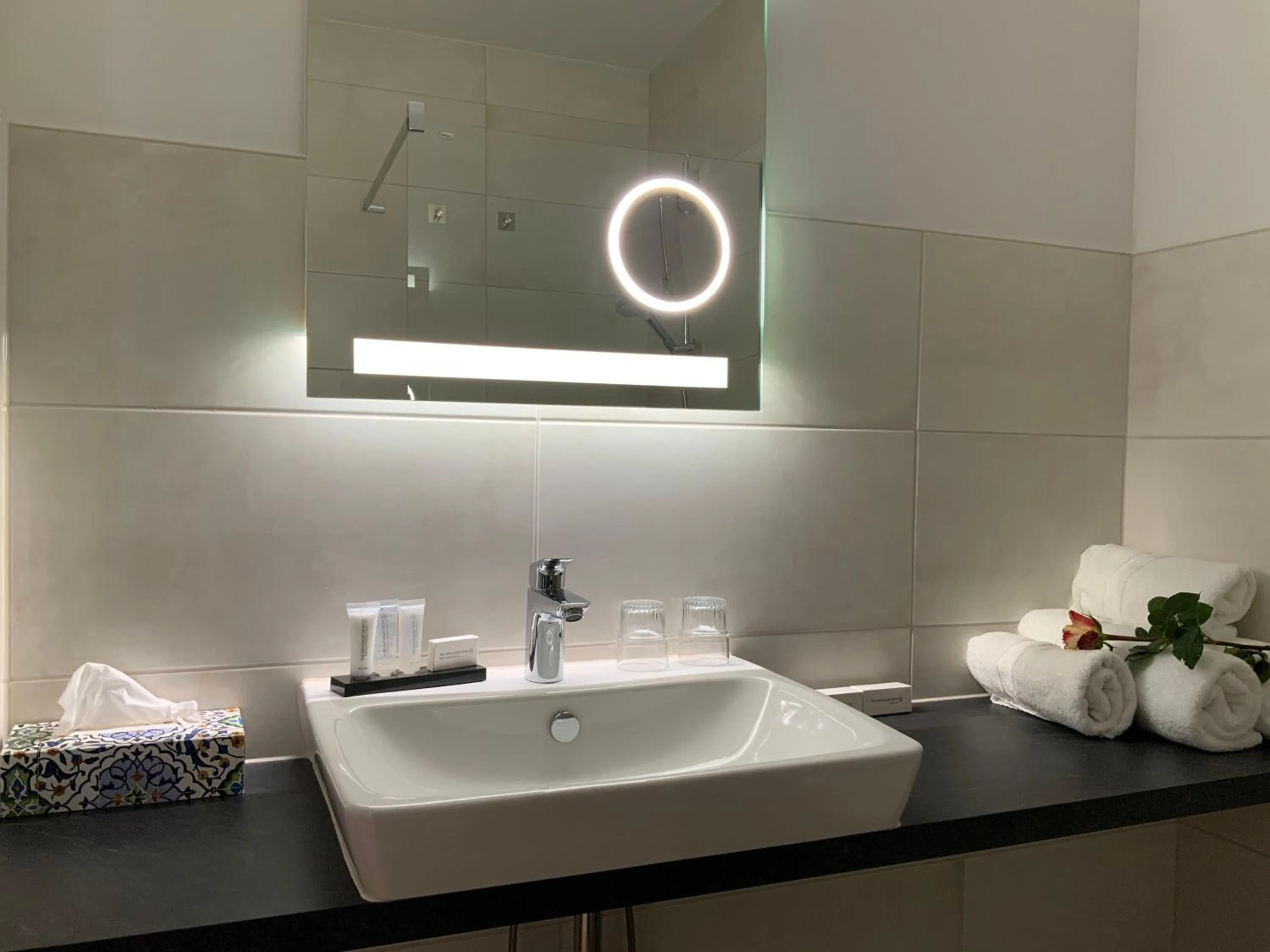 Bathroom in RheinVilla ARTE