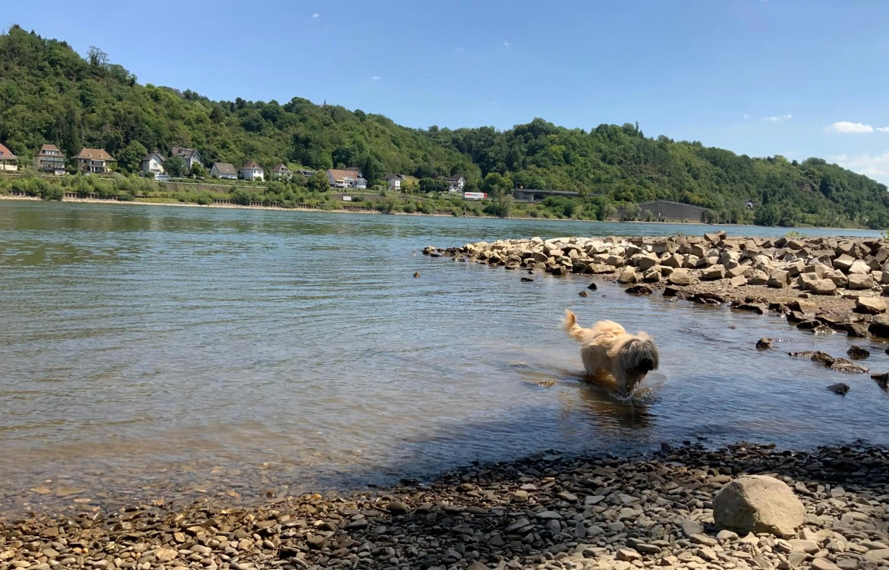 Natural landscape in RheinVilla ARTE