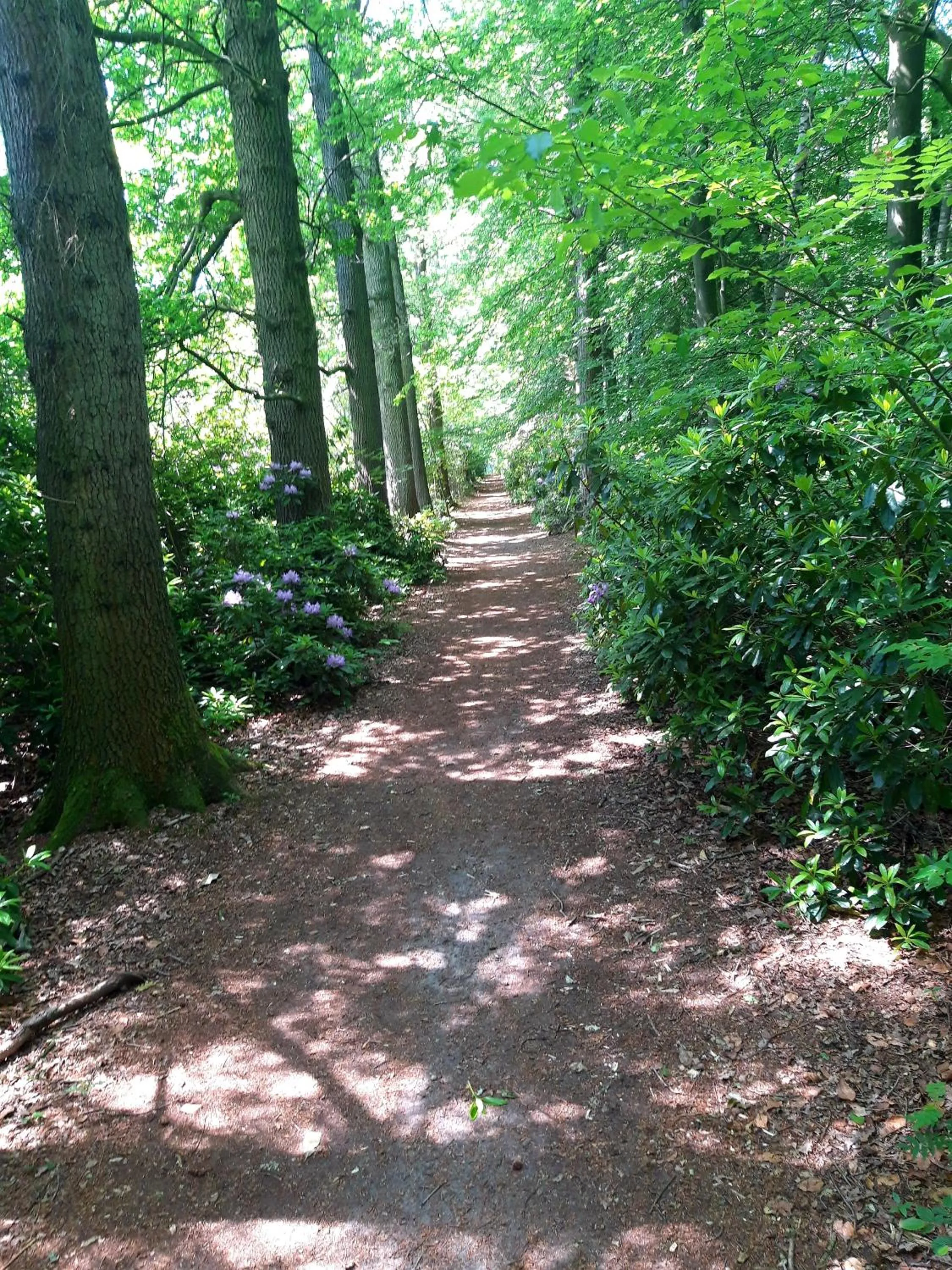 Natural landscape in 't Buitenverblijf Erve Punte