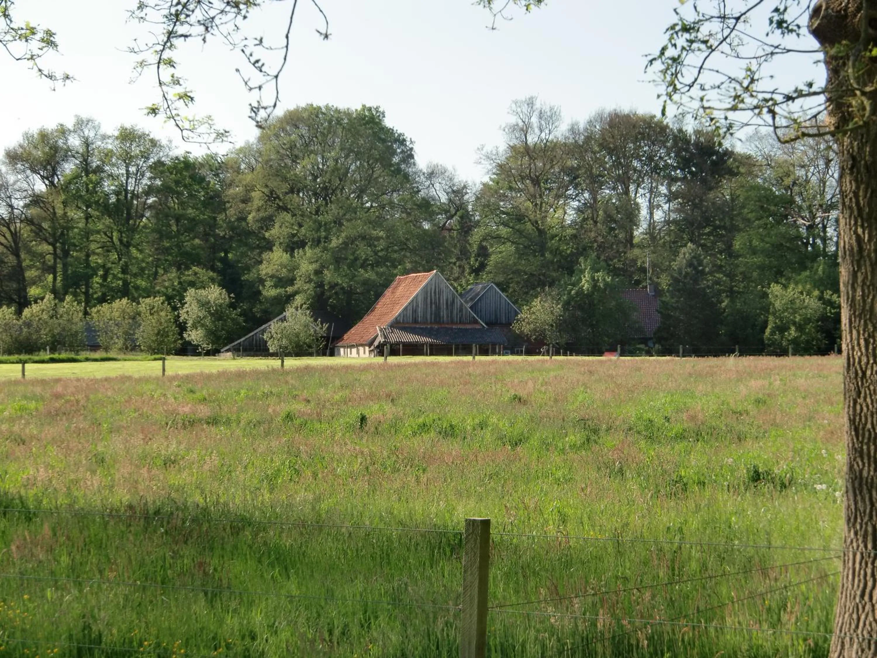 Property building in 't Buitenverblijf Erve Punte