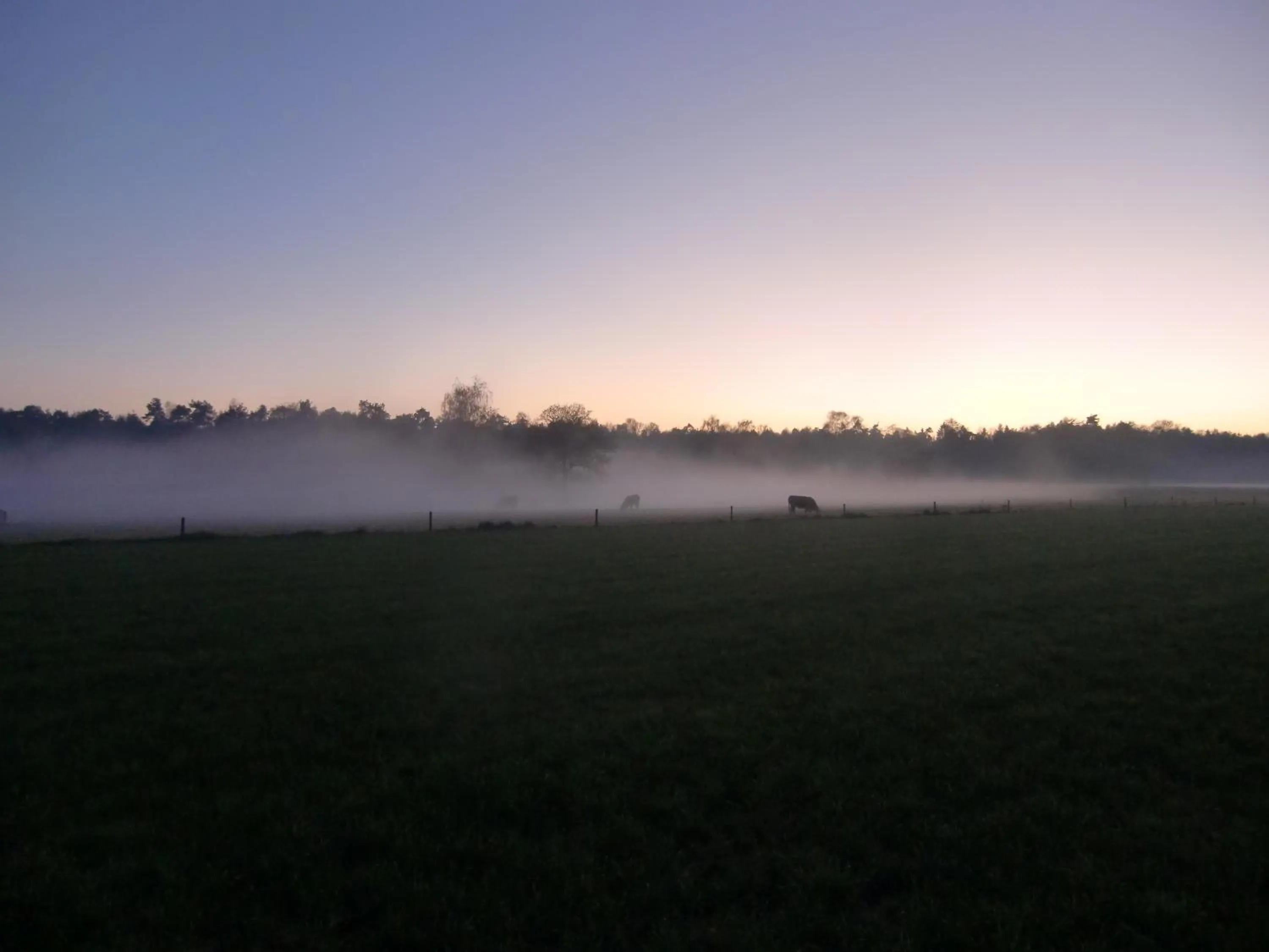 Natural landscape in 't Buitenverblijf Erve Punte