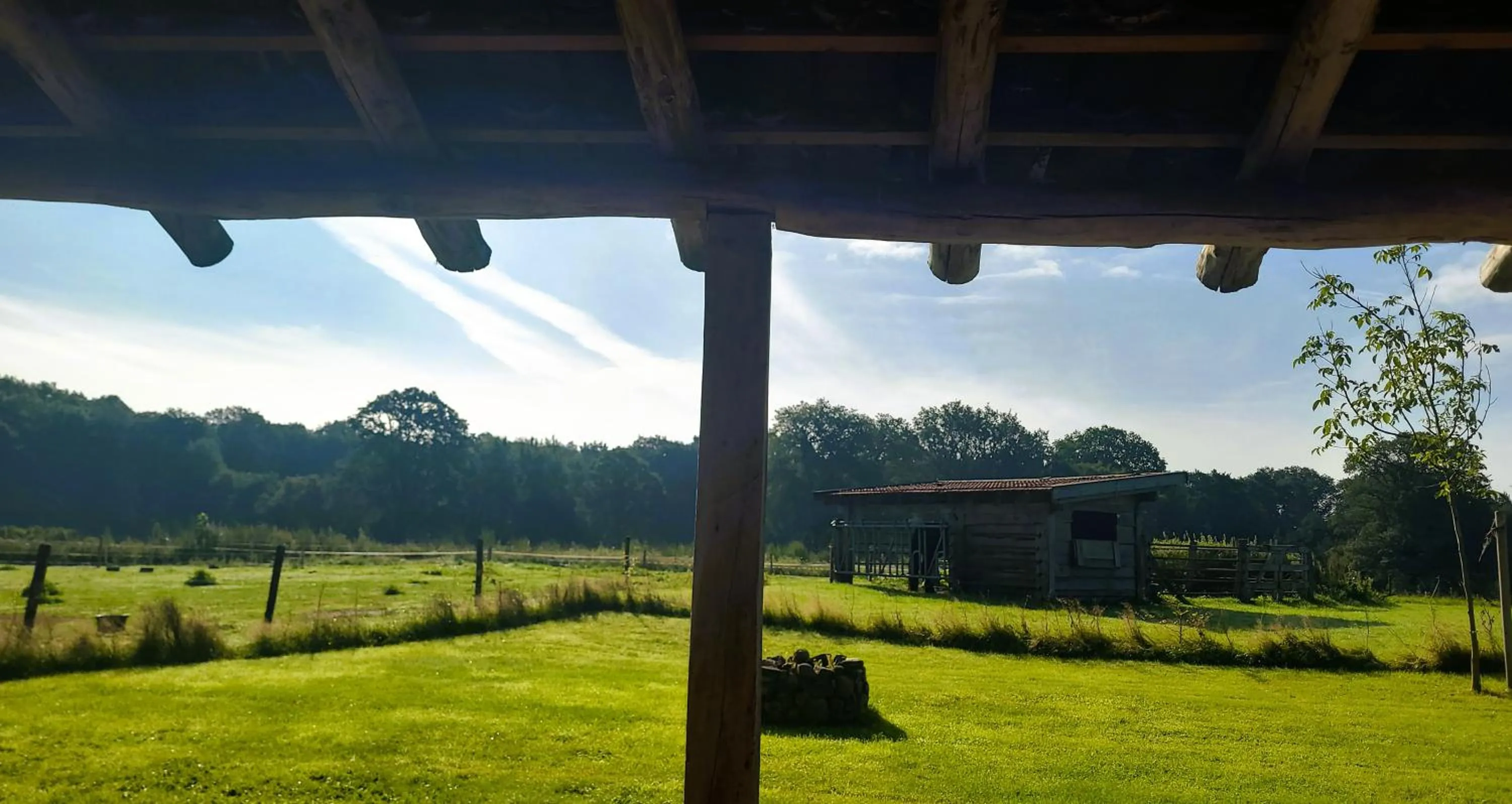 Garden in 't Buitenverblijf Erve Punte