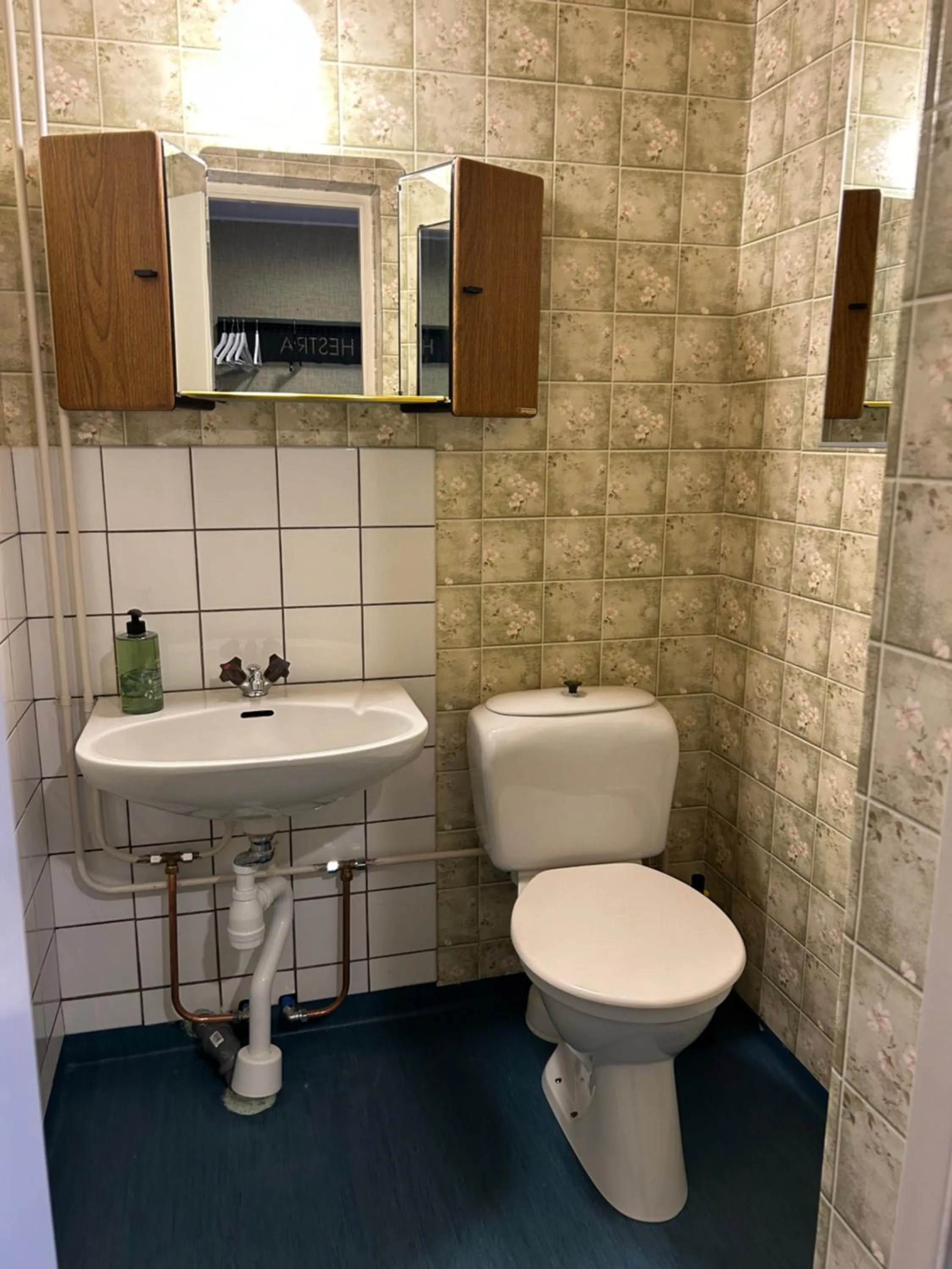 Hestra Guesthouse