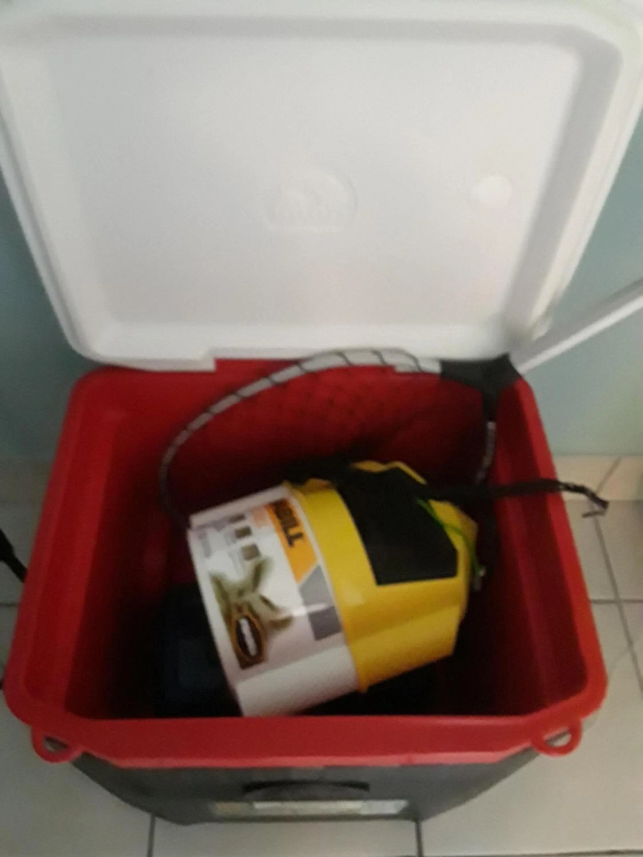 Fishing in Benjamin's Pier at Laguna Reef Resort