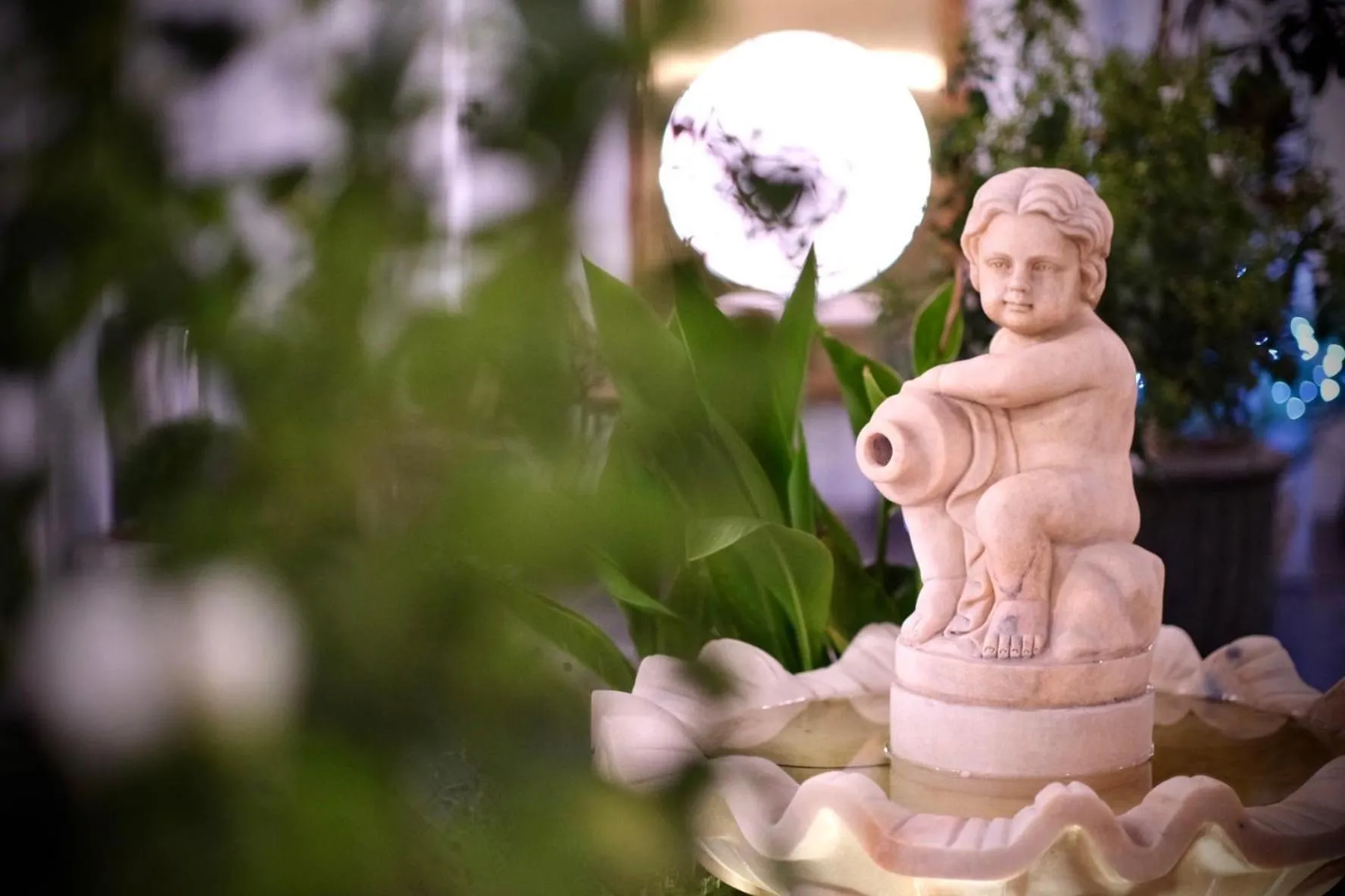 Garden view in The Salisbury