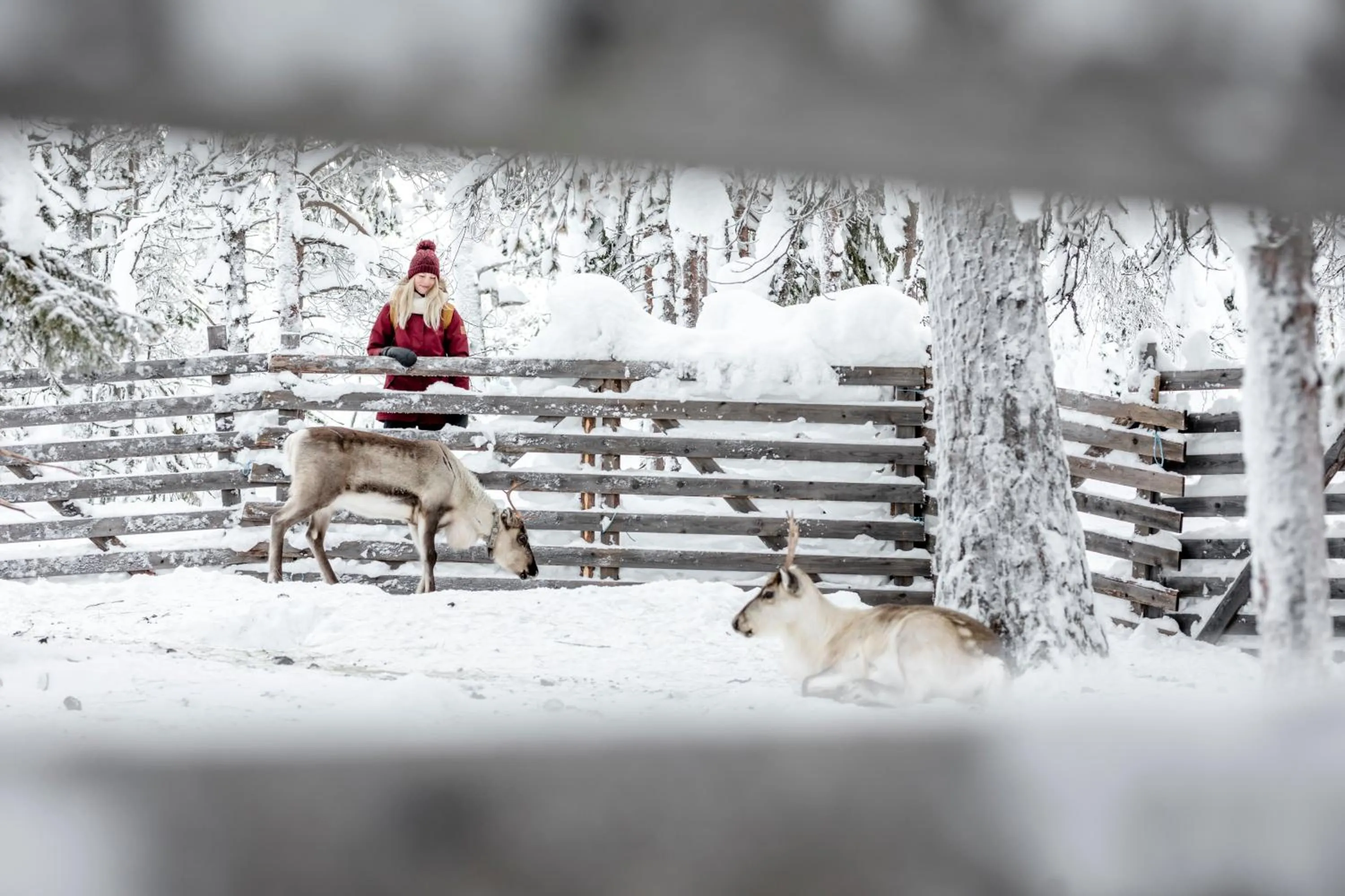 Winter in Ski-Inn PyhäLinna