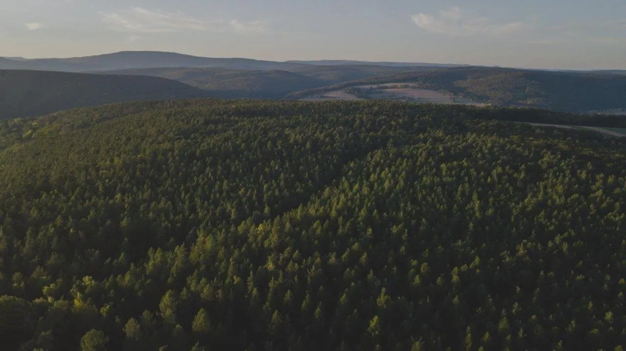 Natural landscape in Kunzmann's Hotel | Spa