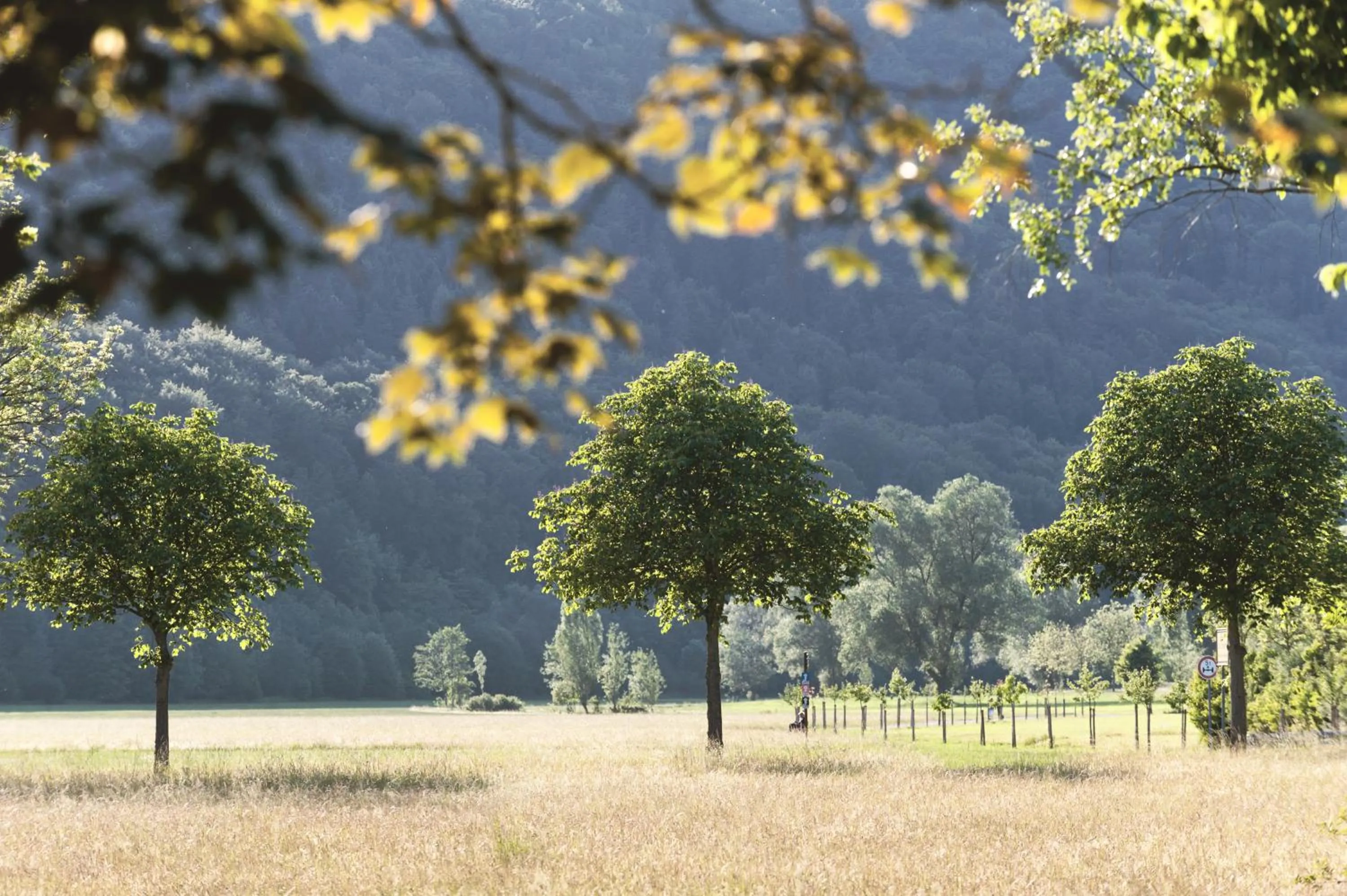 Natural landscape in Kunzmann's Hotel | Spa